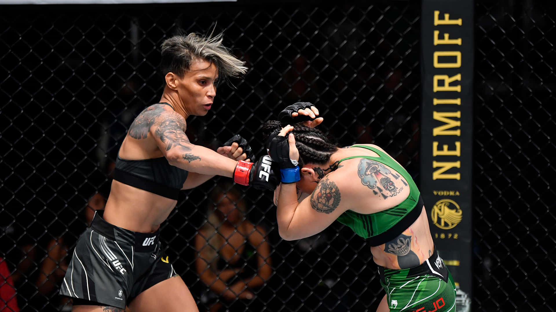 M M A Fighter Amanda Lemosin Action