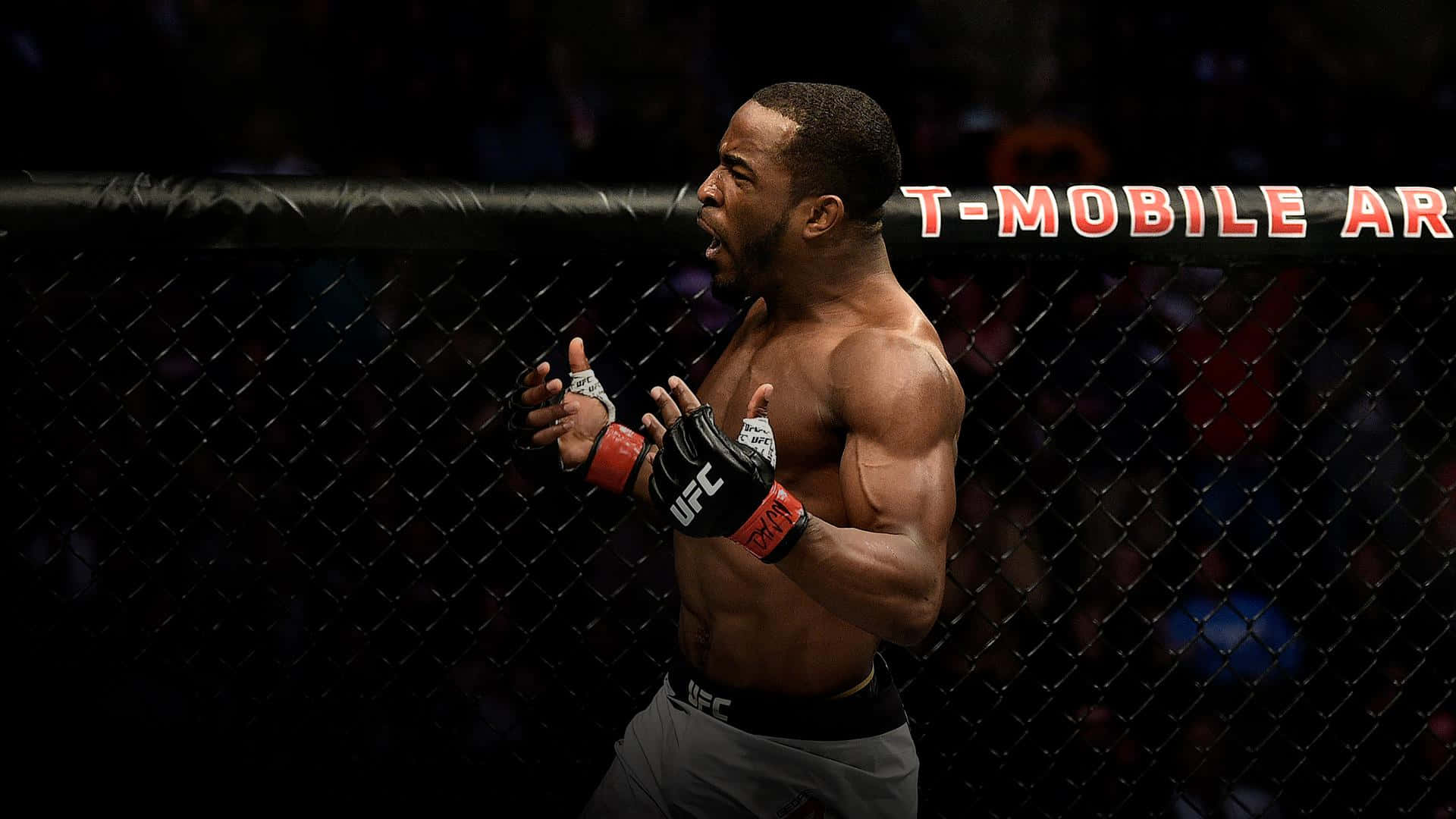 M M A Fighter Celebration Octagon Background