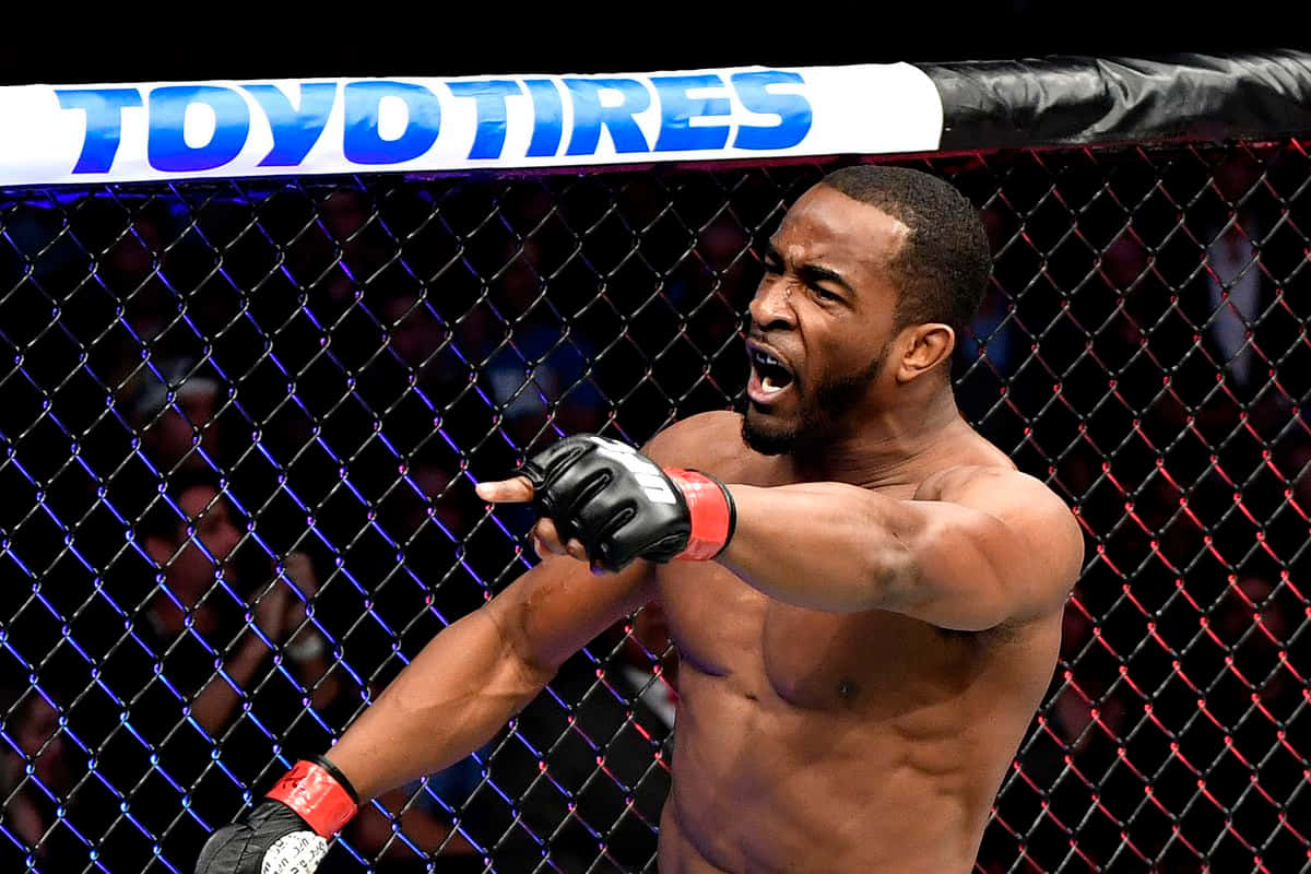 M M A Fighter Celebration Victory Octagon Background