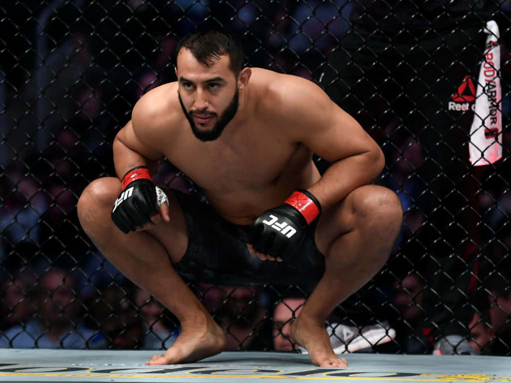 M M A Fighter Crouchingin Octagon Background