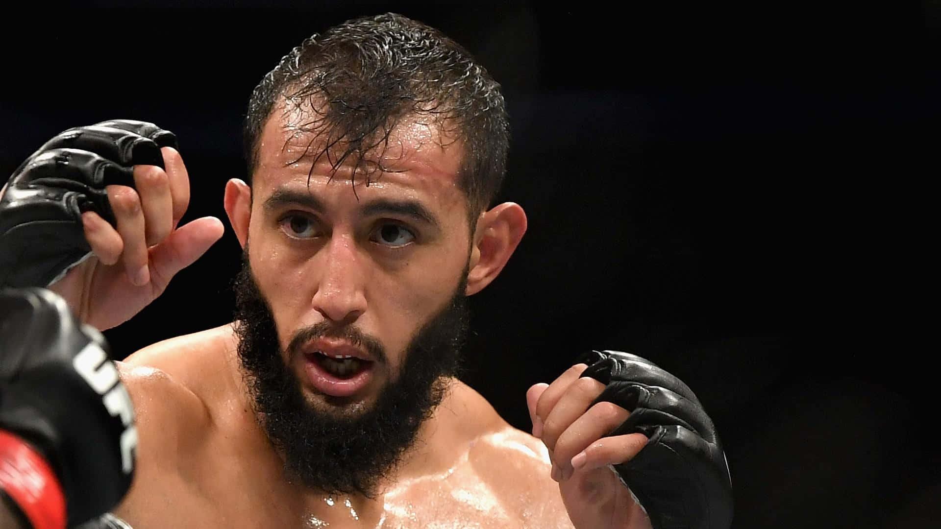 M M A Fighter Focusedin Octagon Background