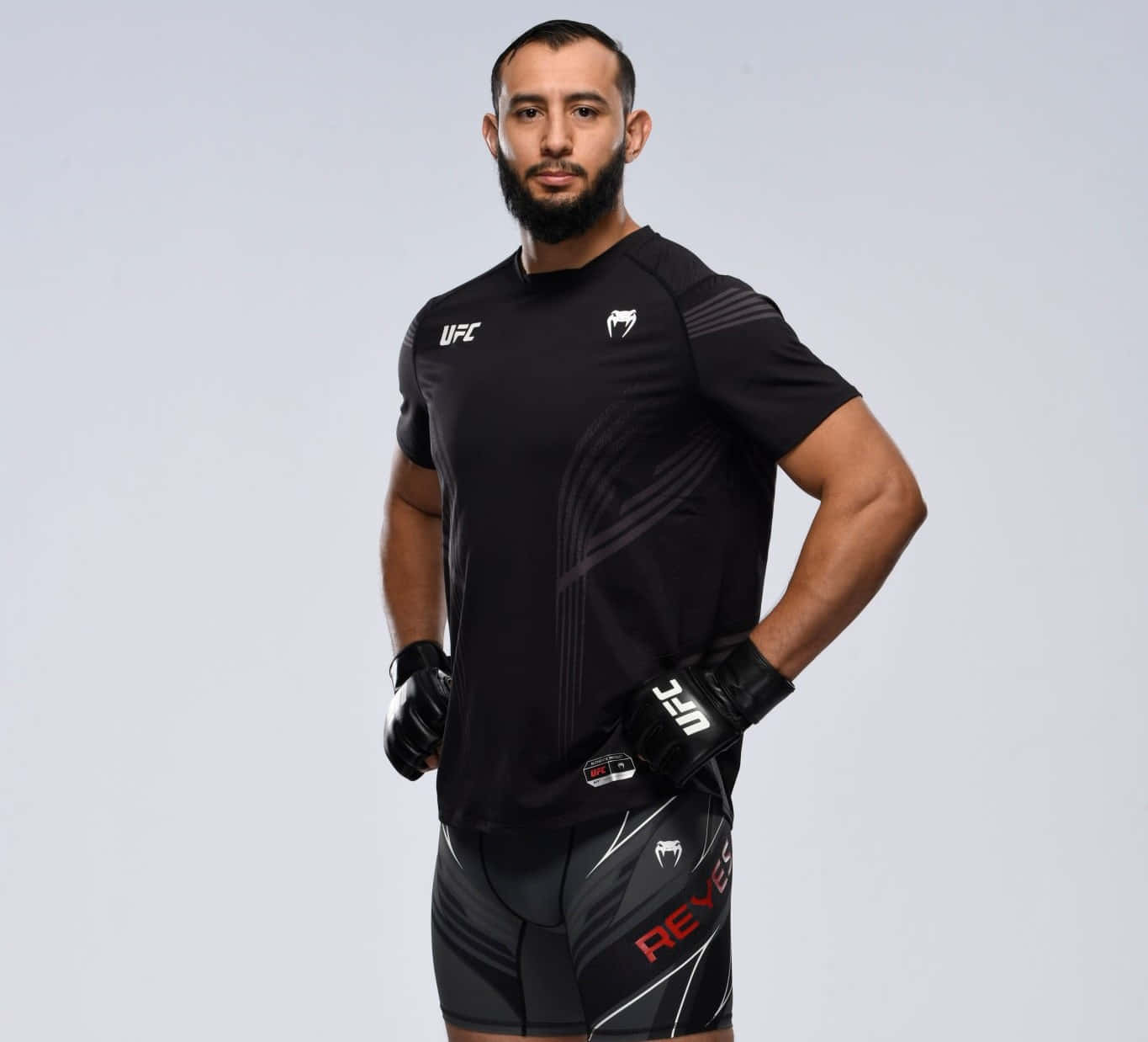 M M A Fighter Portrait Dominick Reyes Background