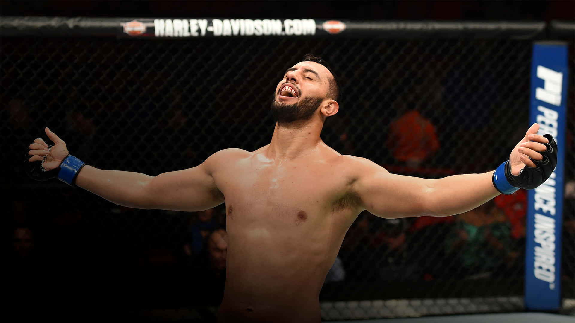 M M A Fighter Victory Celebration