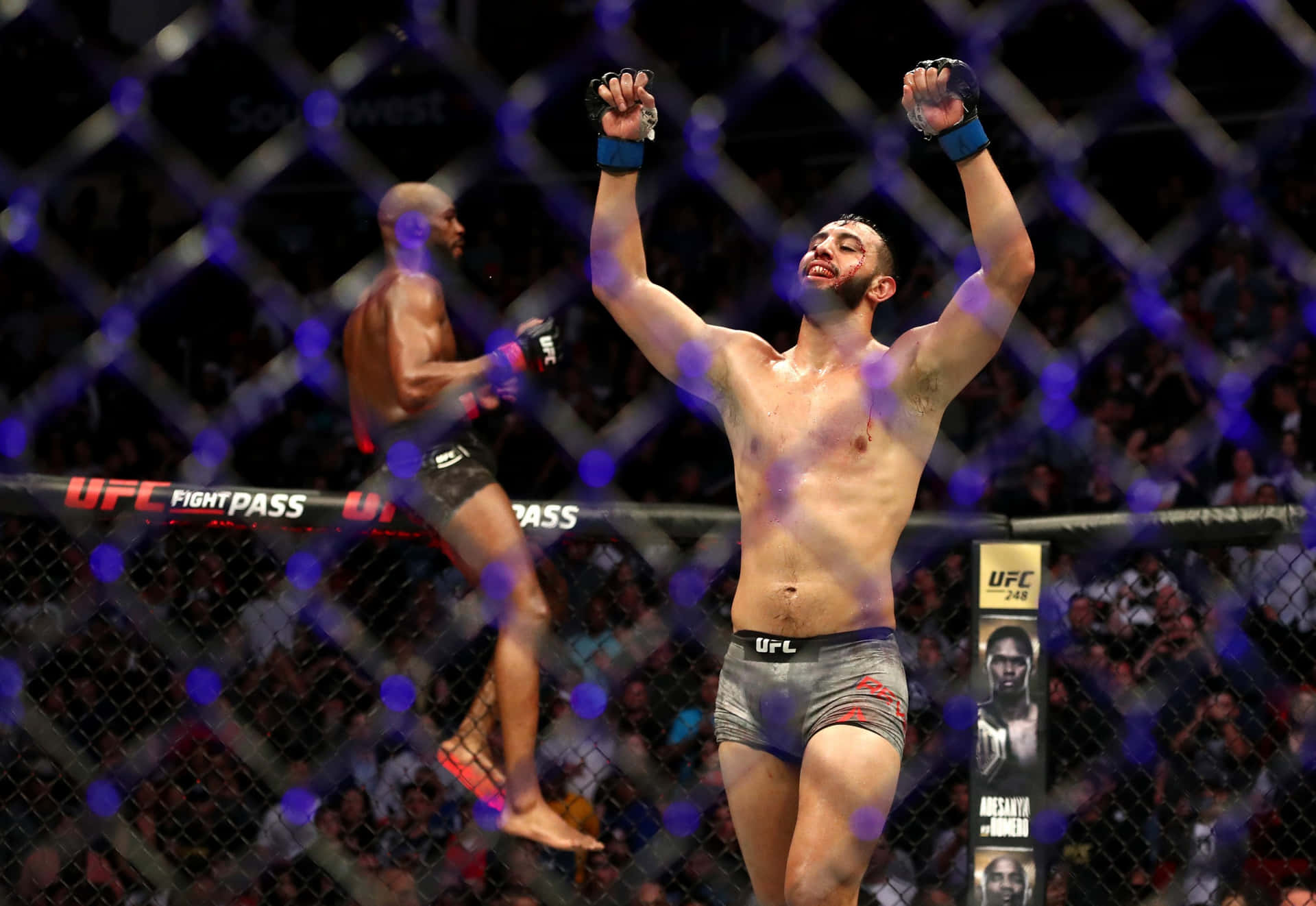 M M A Fighter Victory Celebration