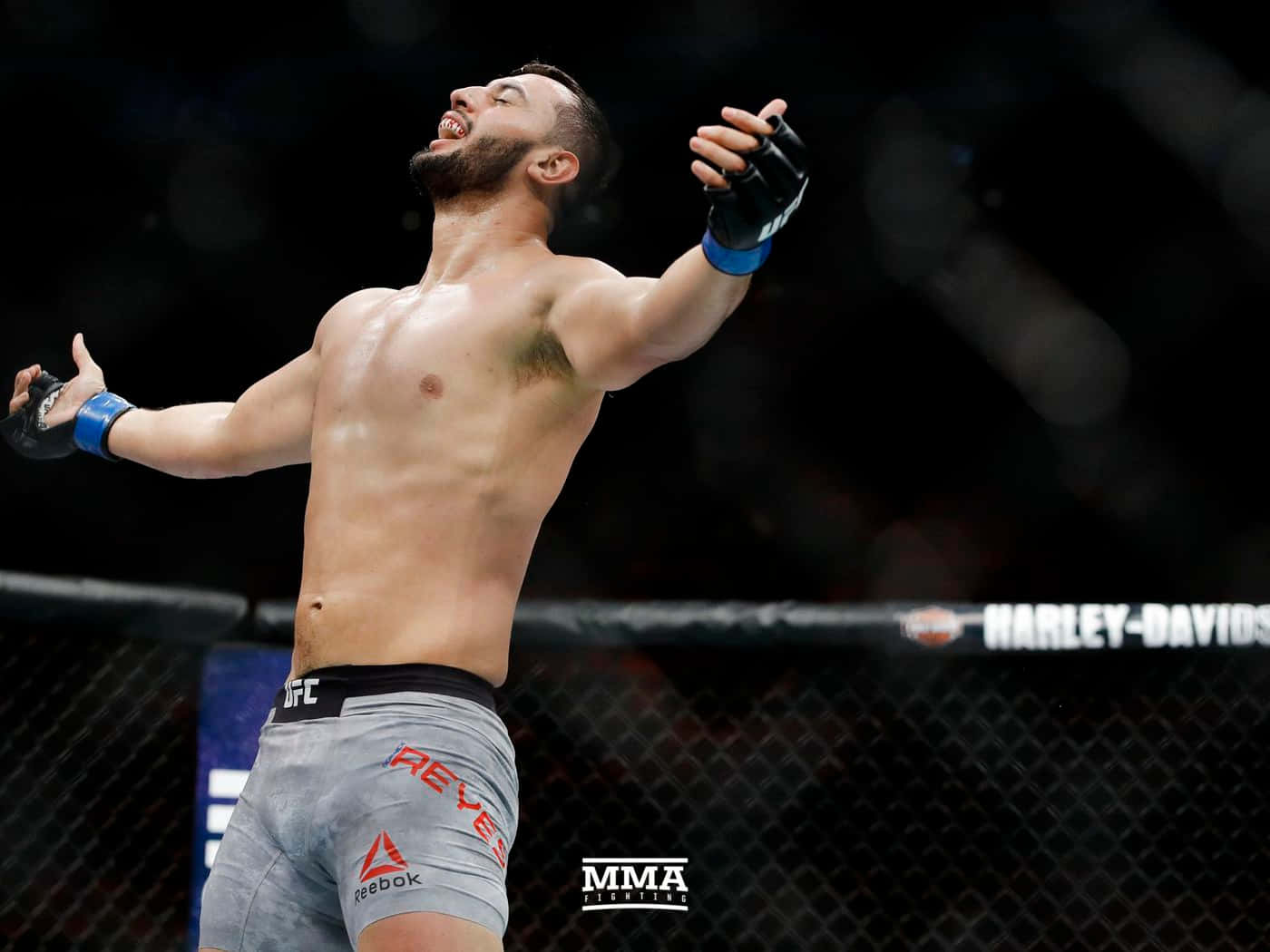 M M A Fighter Victory Celebration Background