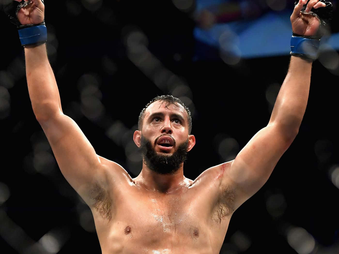 M M A Fighter Victory Celebration