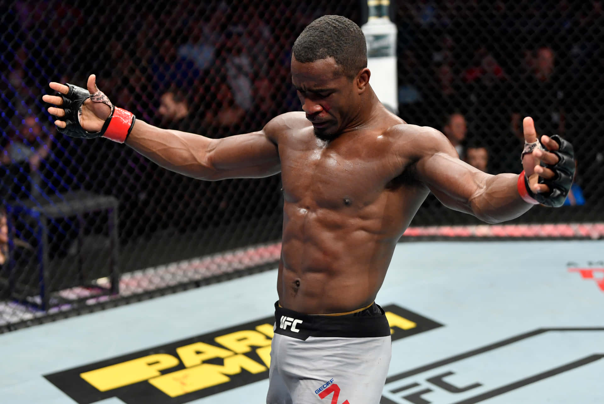 M M A Fighter Victory Pose