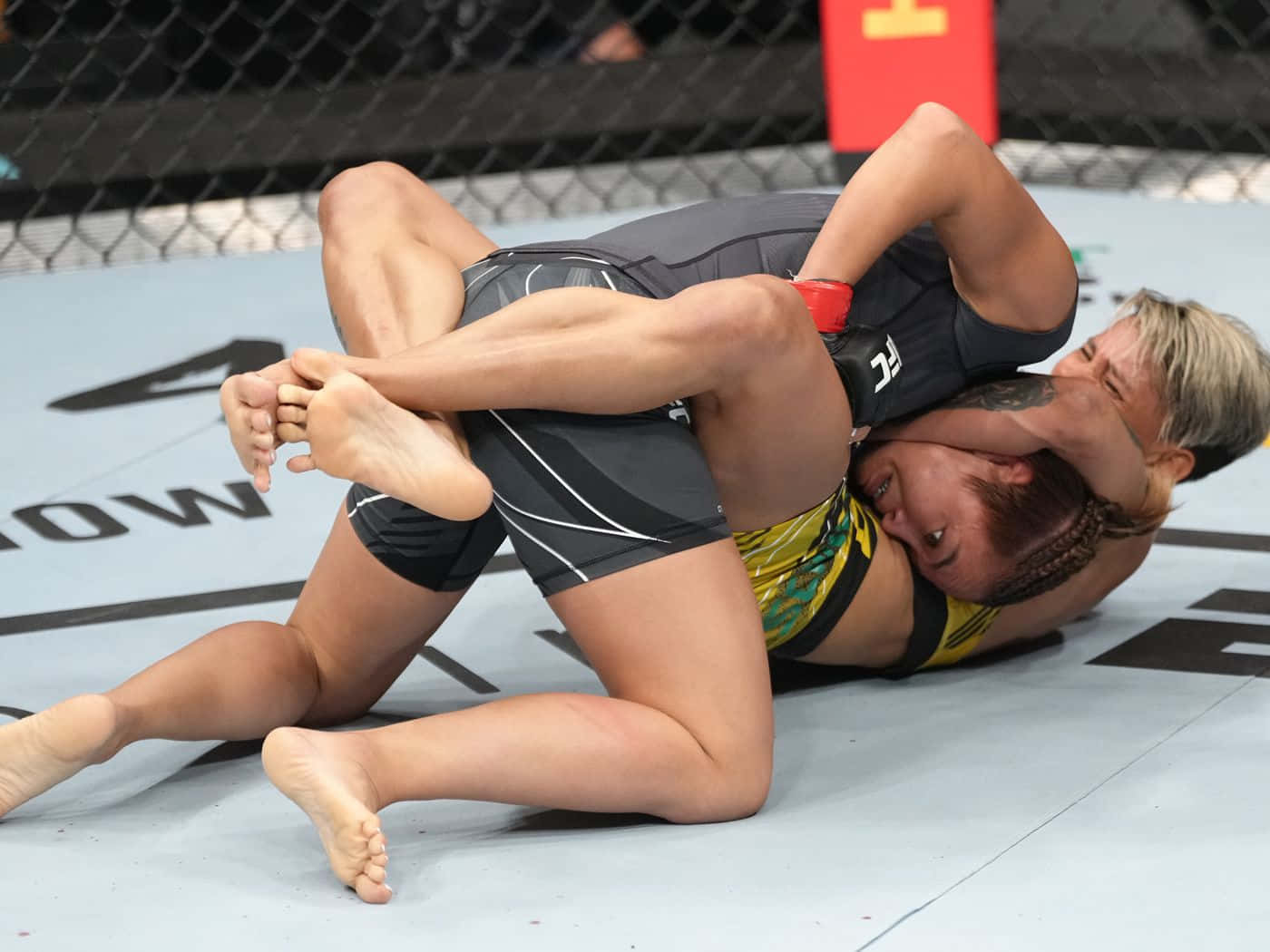 M M A Fighters Ground Combat