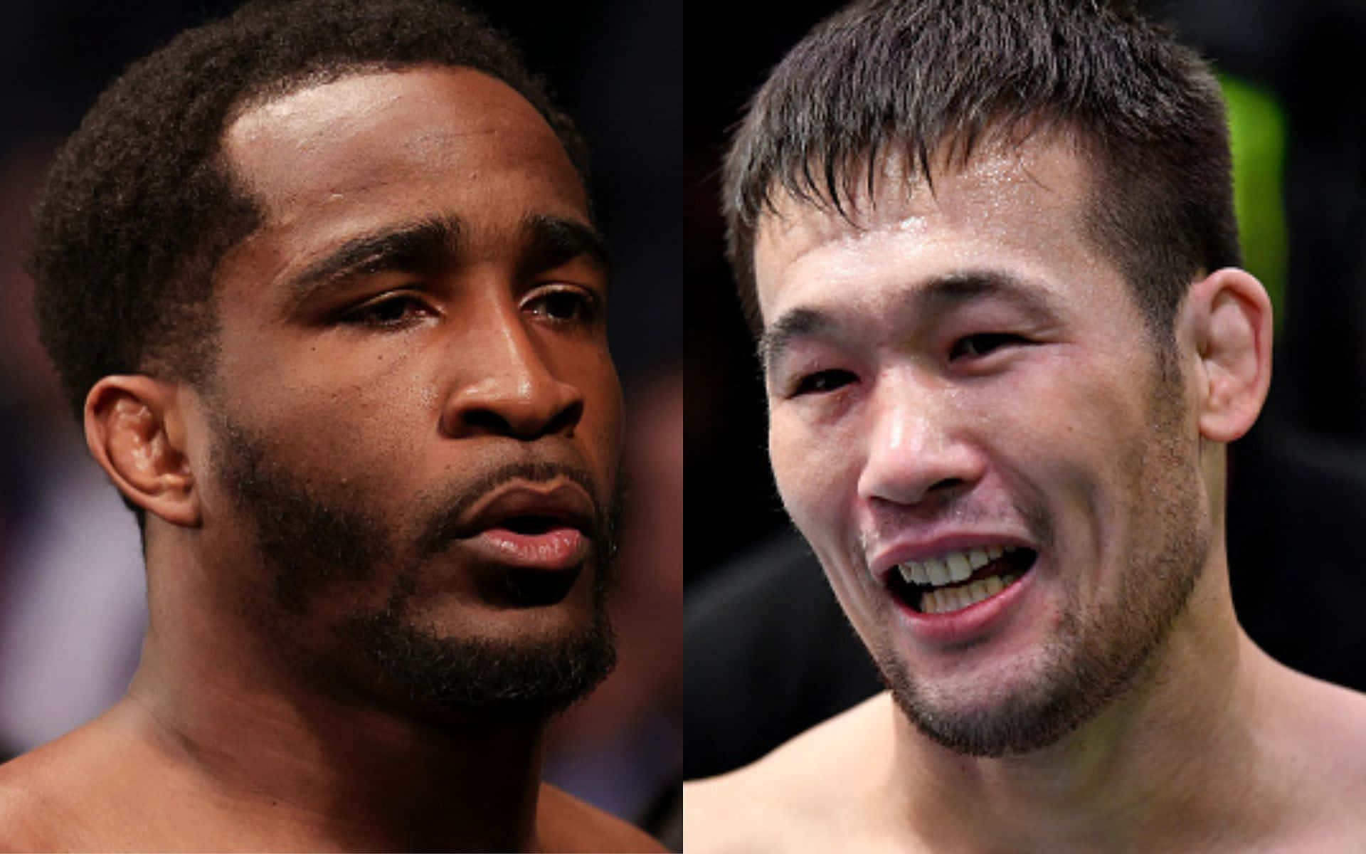 M M A Fighters Split View Background