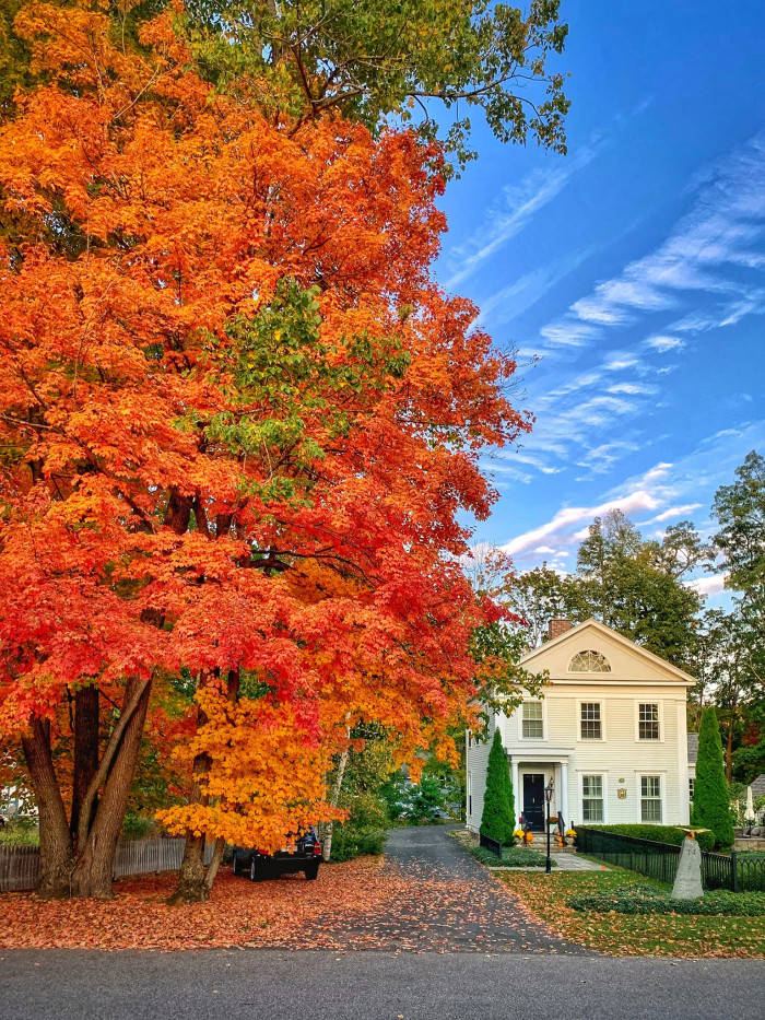 Ma Colonial House