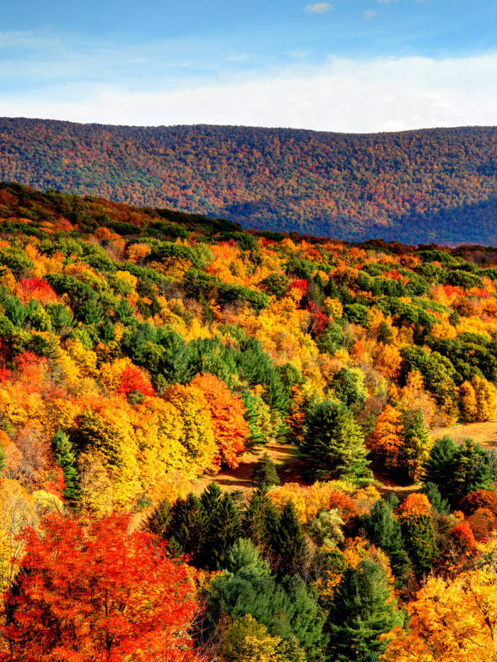 Ma Lush Autumn Hills Background