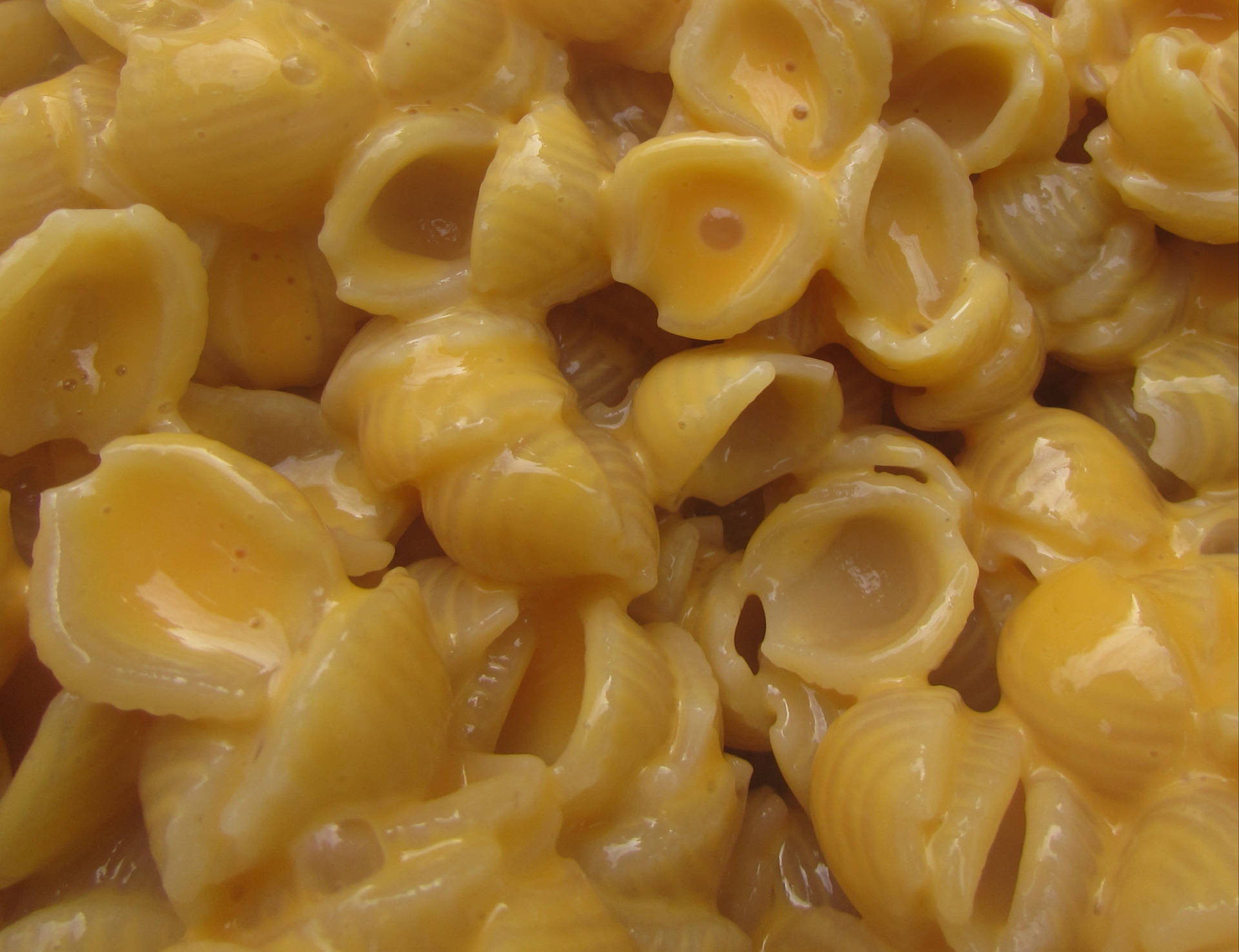 Mac And Cheese With Shell Pasta Background