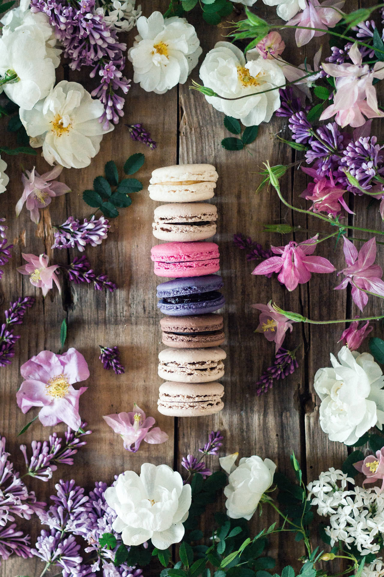 Macaroon Cookie Photography Background