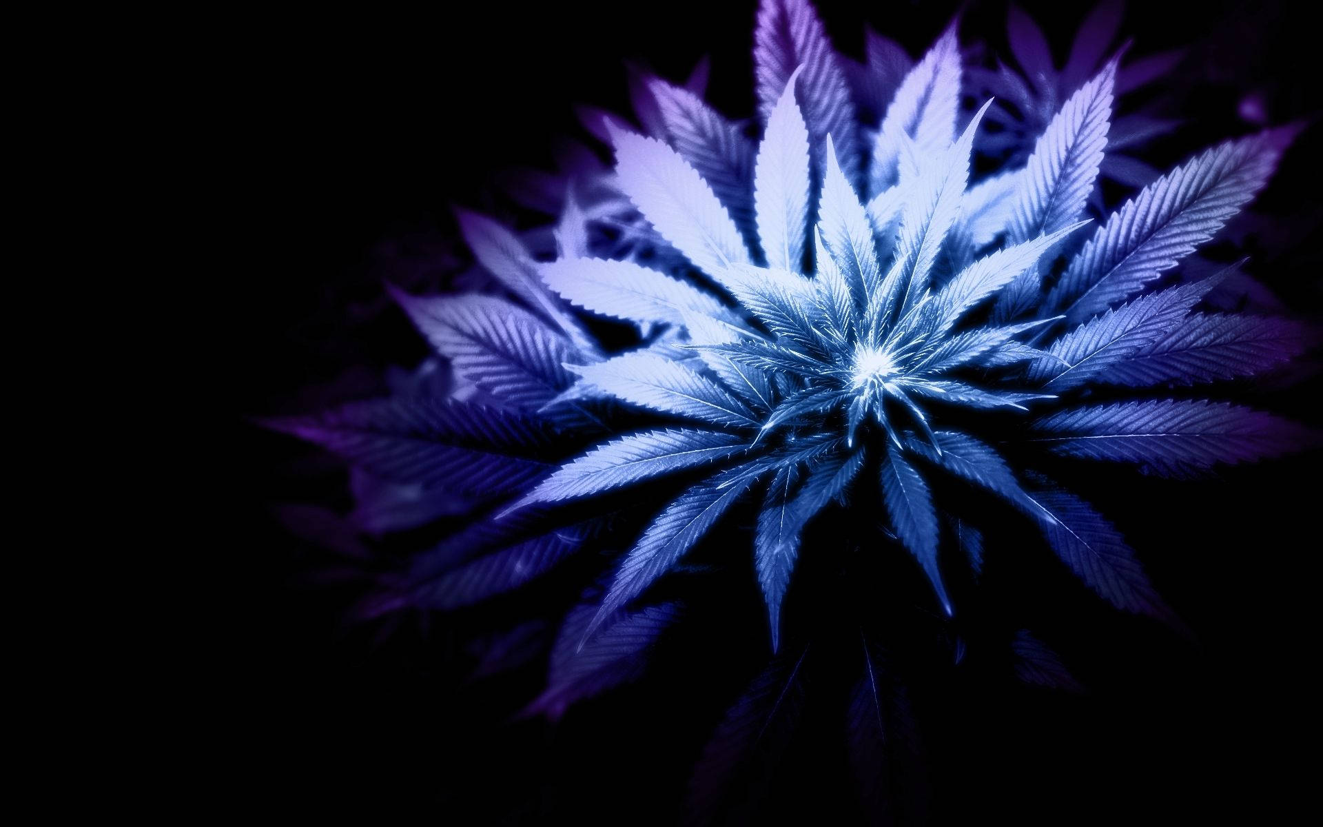 Macbook 4k Purple Blue Weed Aesthetic Background