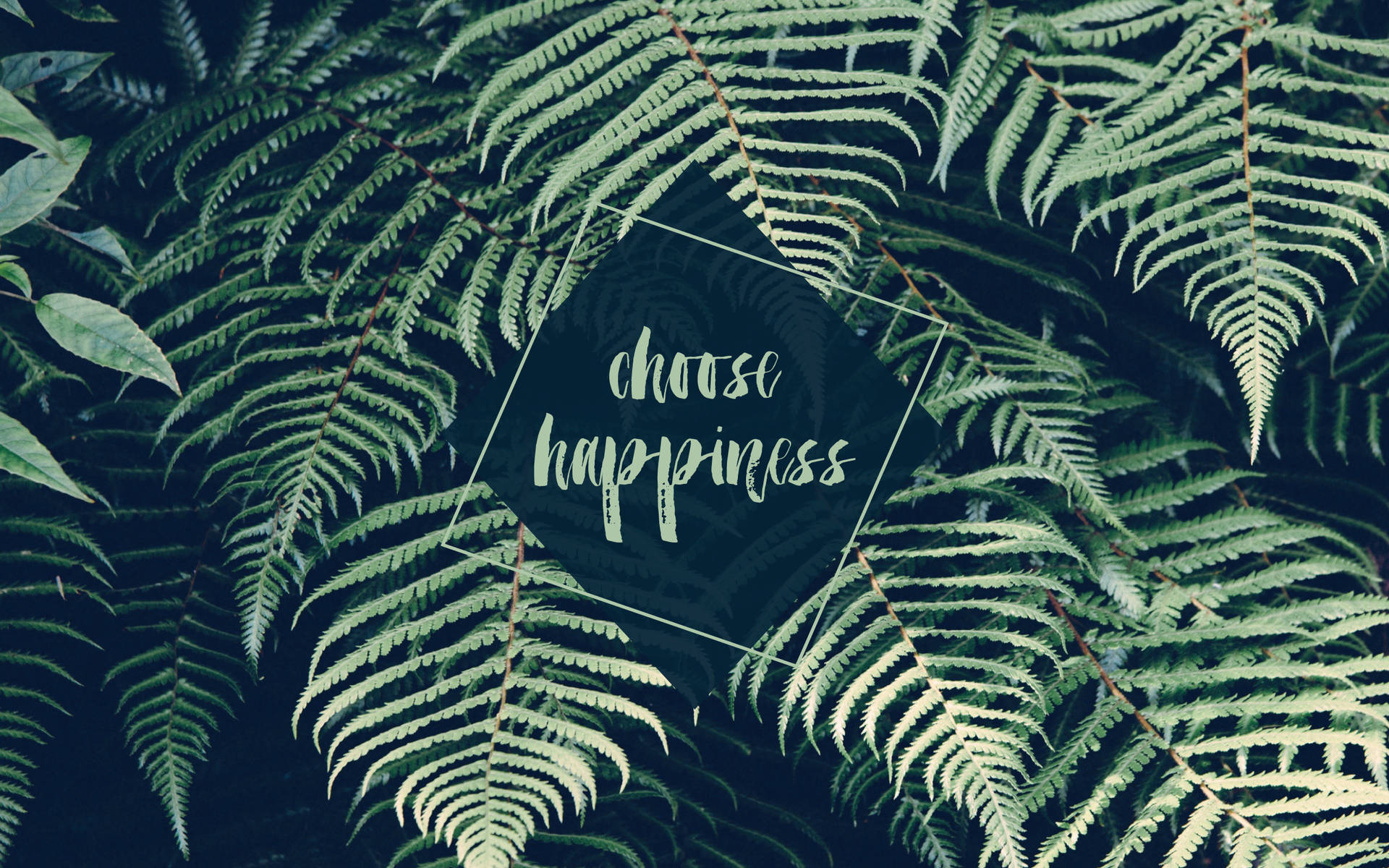 Macbook Air Choose Happiness Background