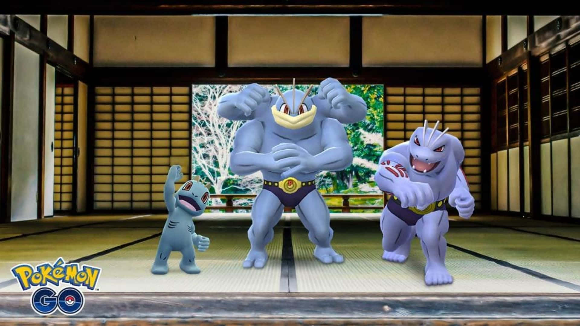 Machop, Machamp, And Machoke 3d Pokemon Background