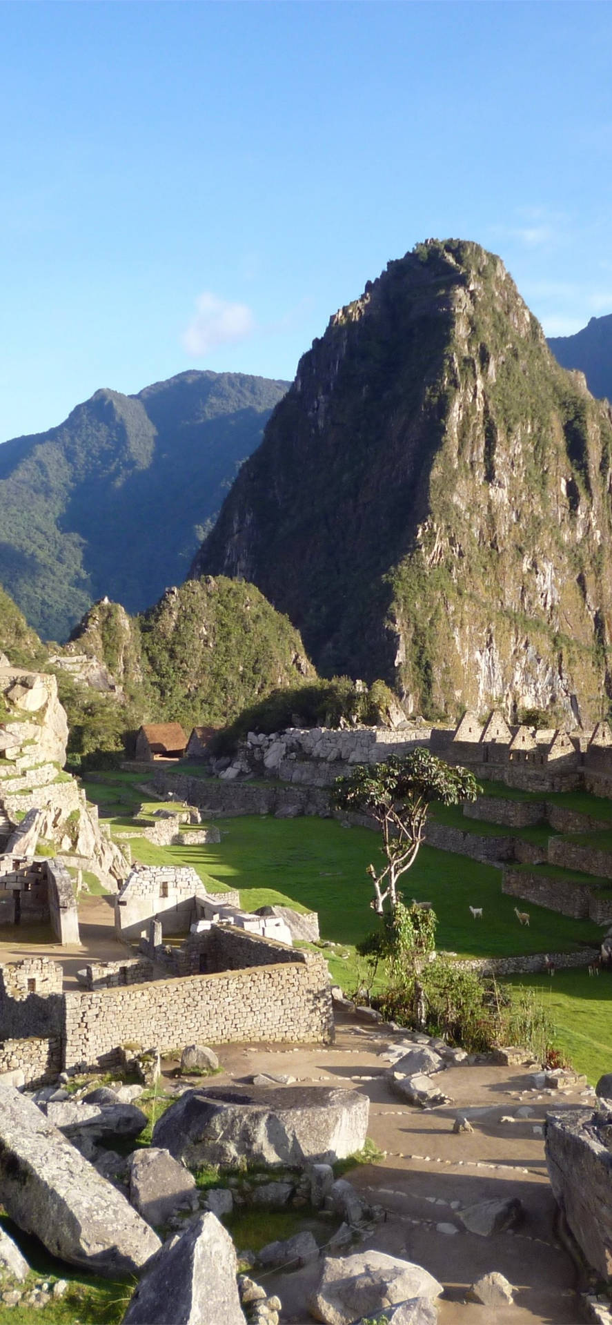 Machu Picchu Ruins Of Cusco Peru