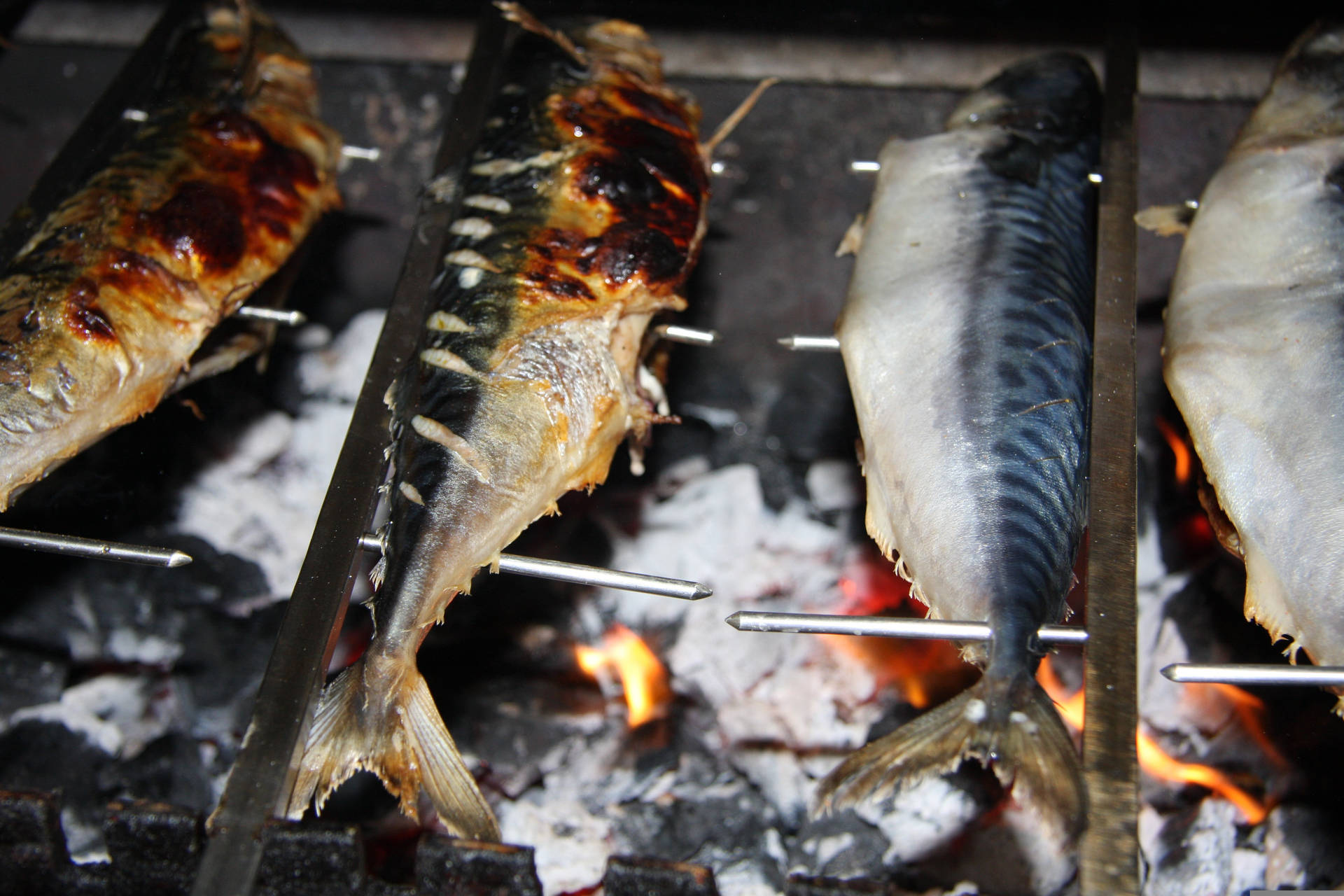 Mackerel Charcoal Grilling