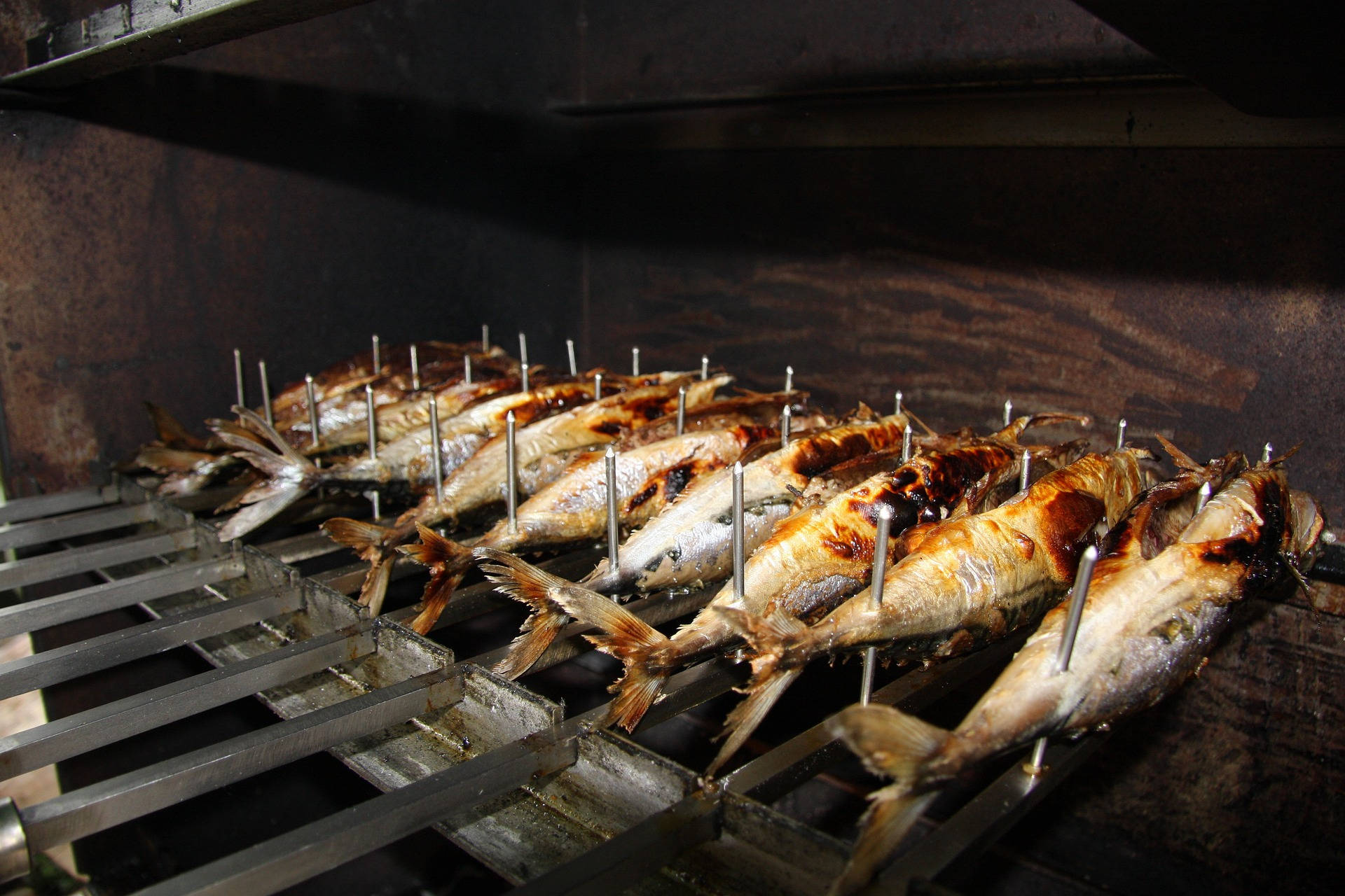 Mackerel Fish Grilling Station