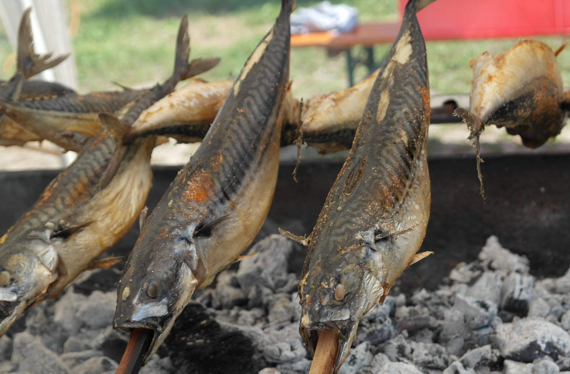 Mackerel Fish In Grill Background