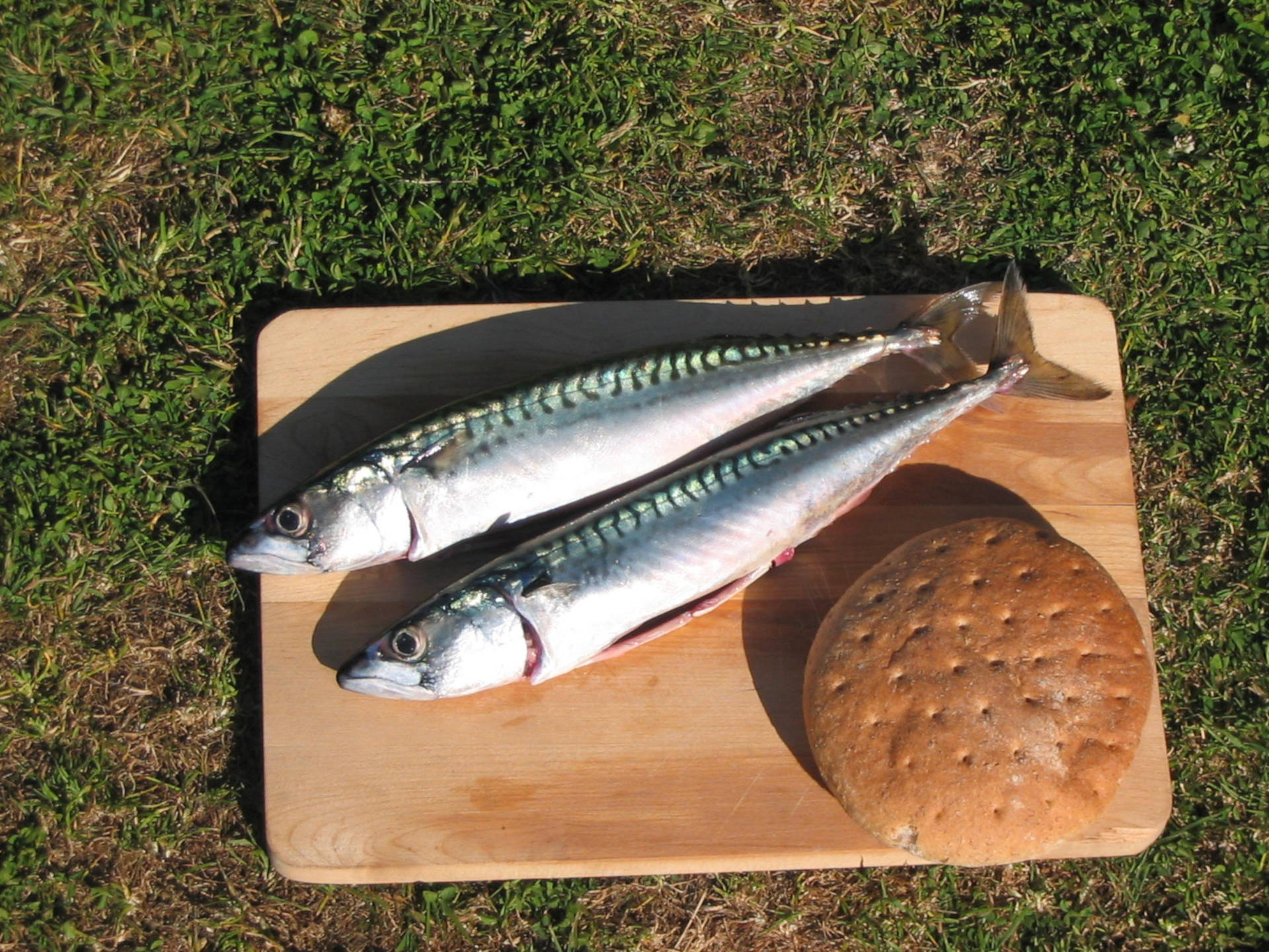 Mackerel Fish With Bread Background