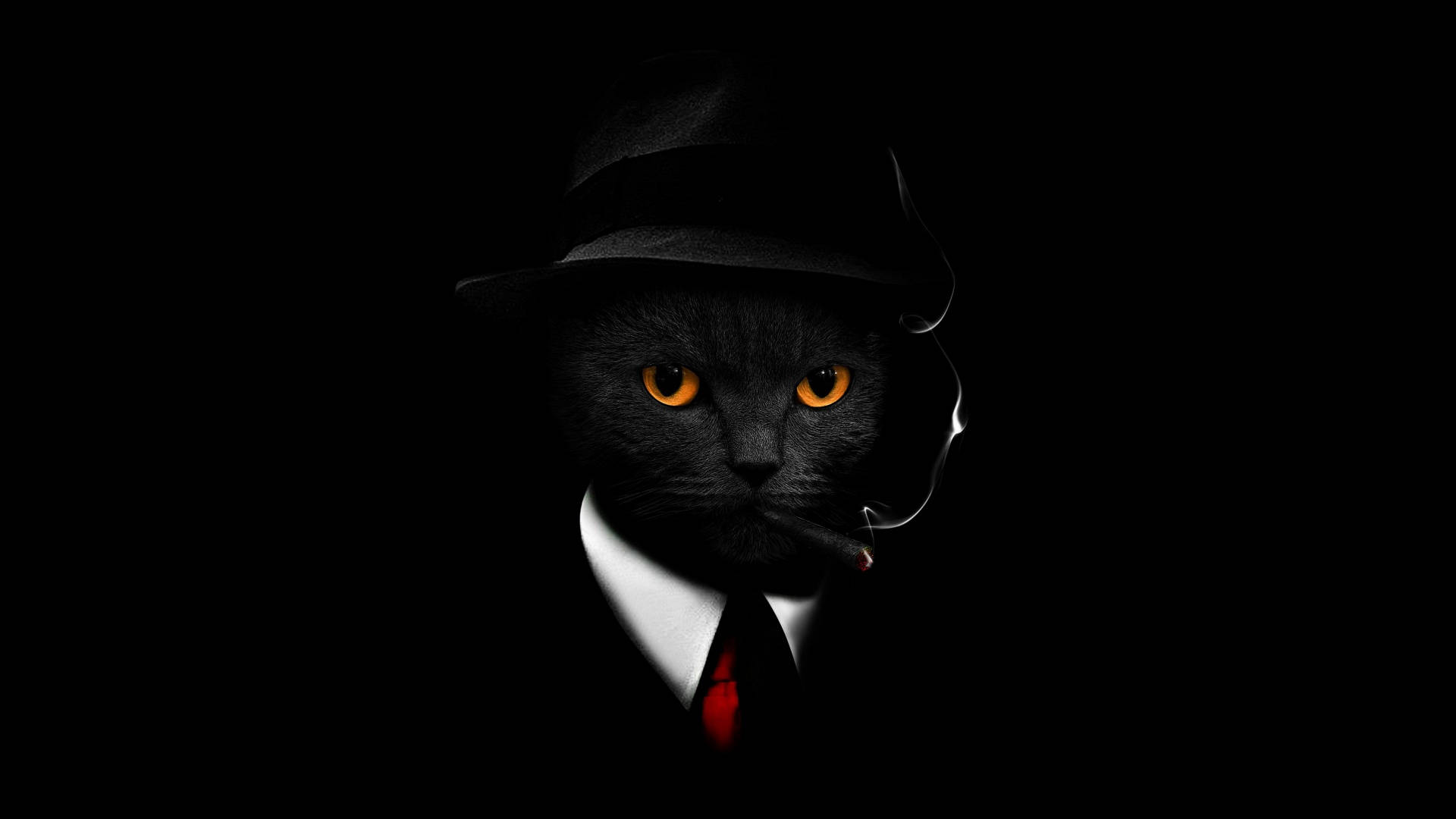 Macos Mojave Cat In A Suit Background