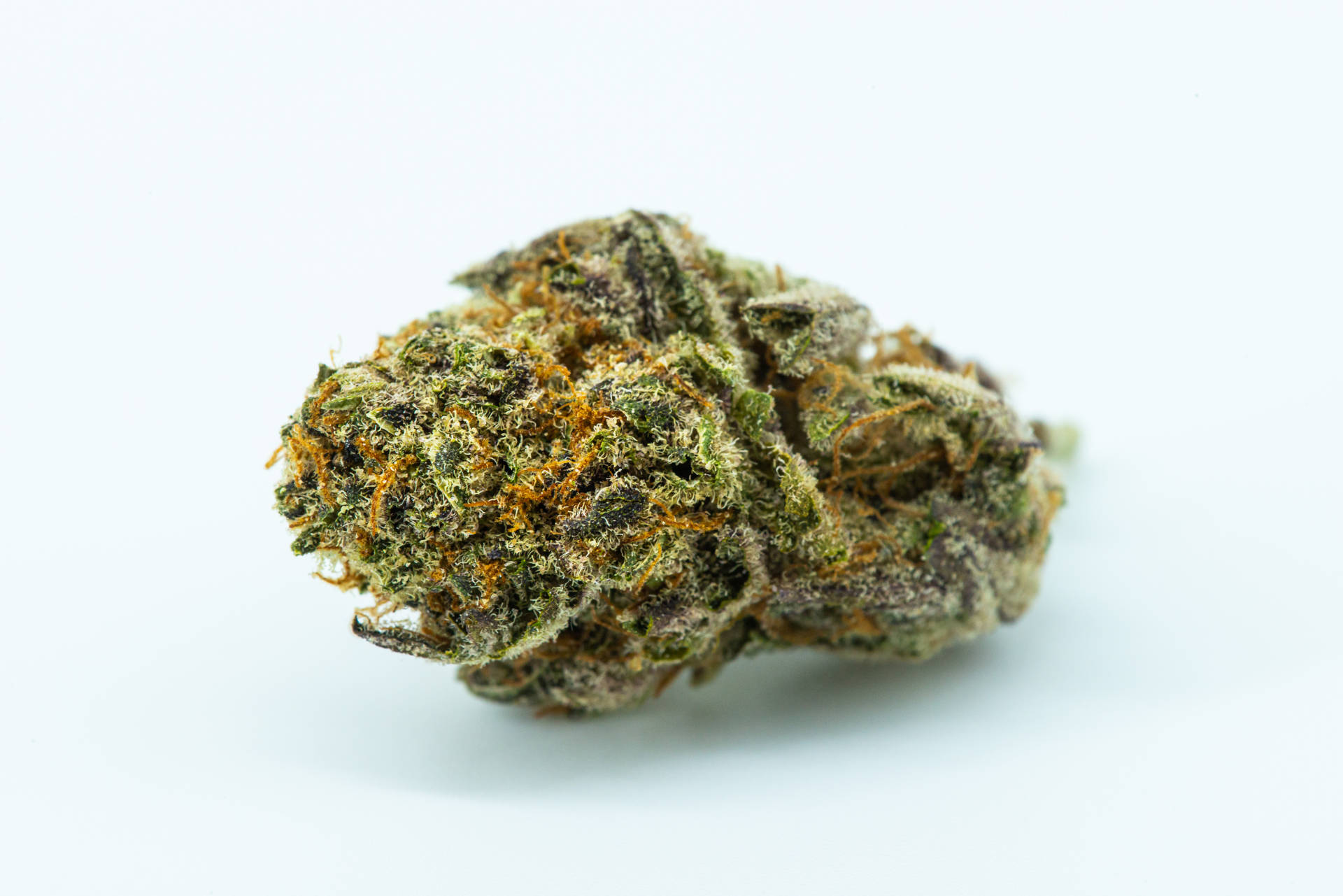 Macro Cannabis Weed Bud Photography Background