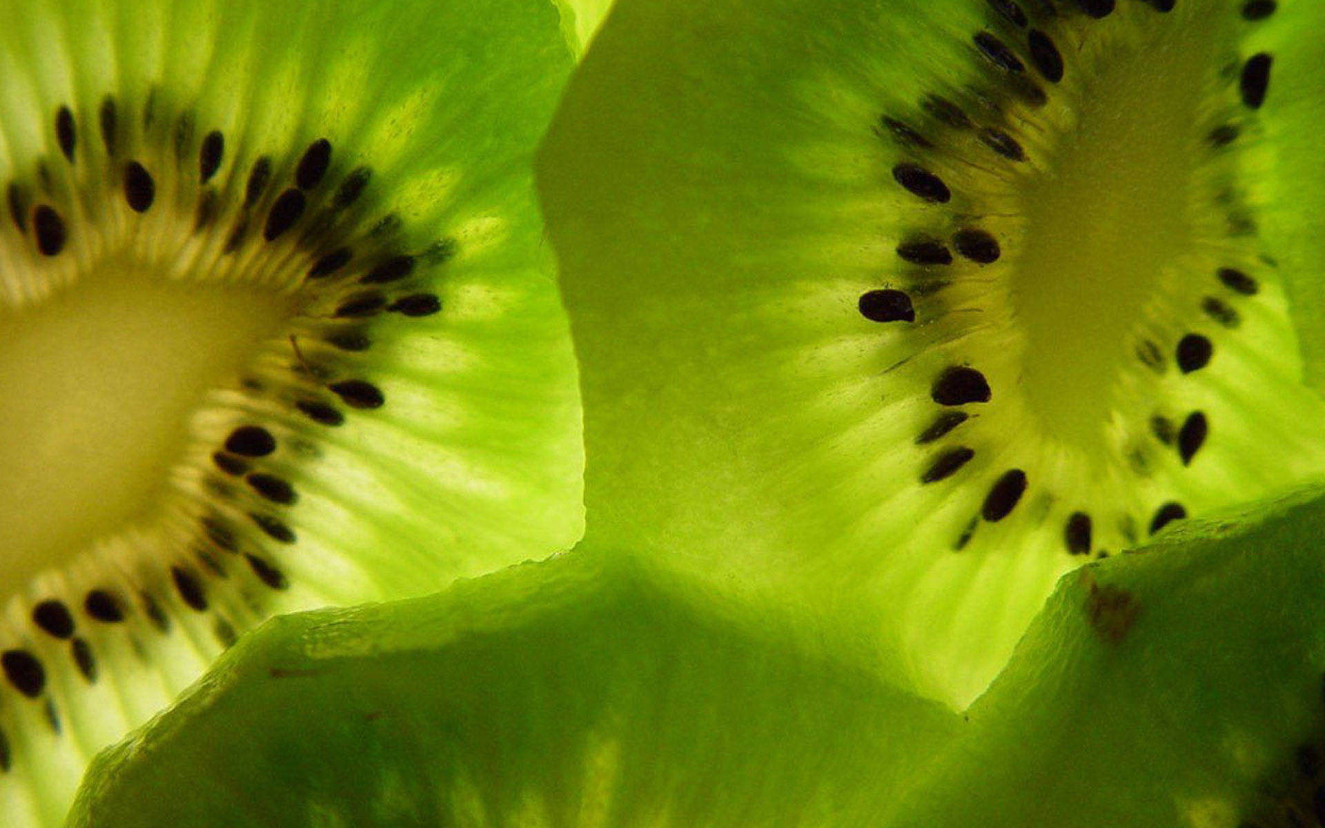 Macro Photography Kiwi Flesh Background