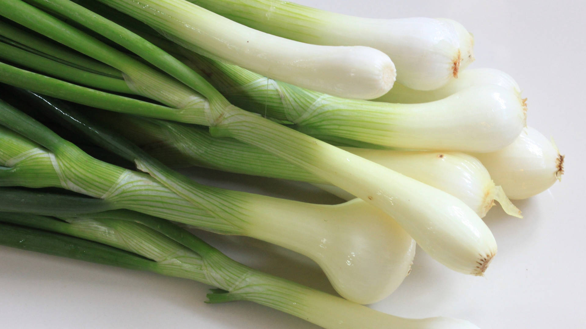 Macro Shot Fresh Spring Onion Background