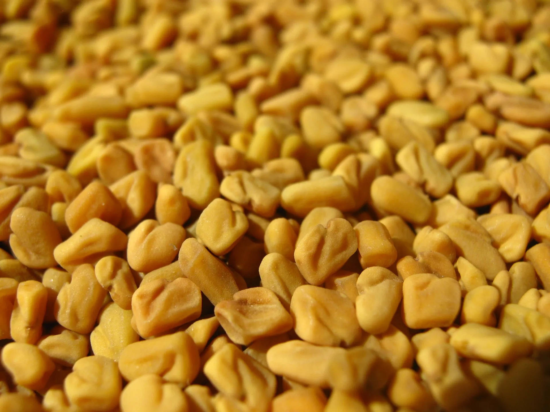 Macro Shot Of Fenugreek Seeds