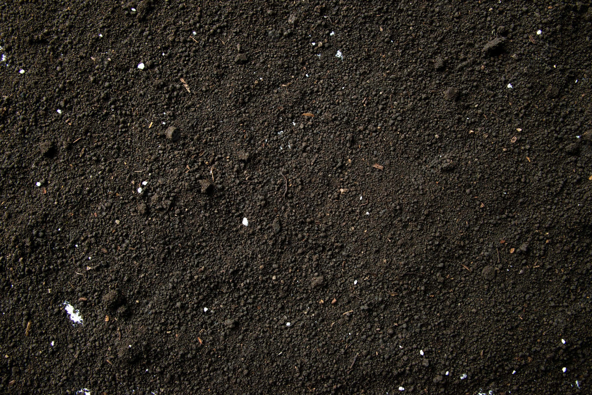 Macro Shot Of Soil Background