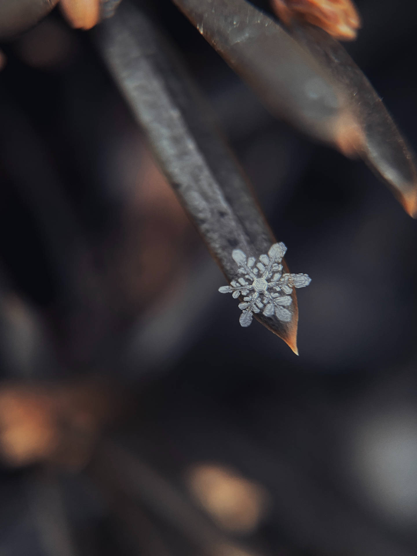 Macro Shot Of Tiny Snowflake Background