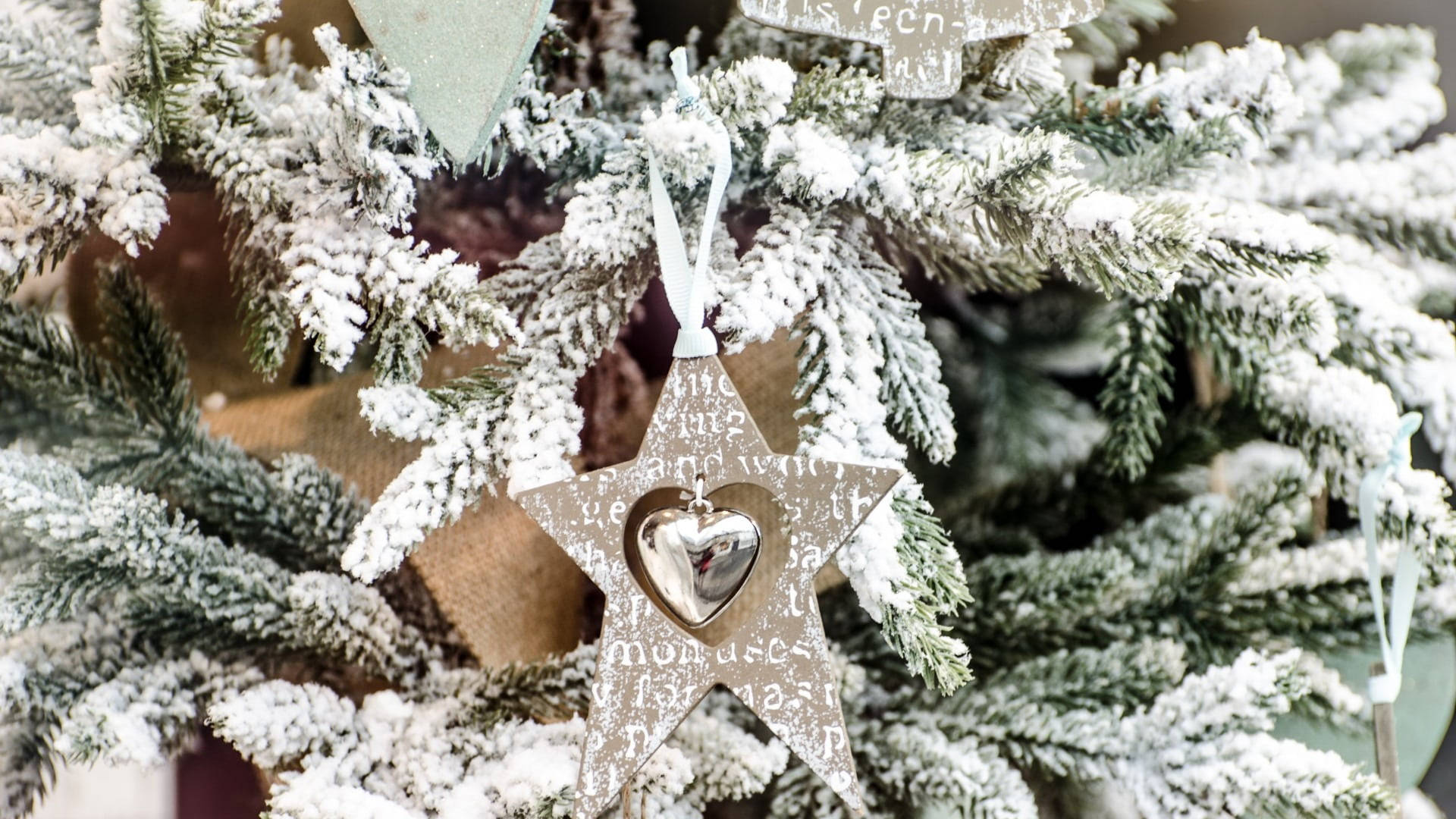 Macro Silver Glitter Ornaments