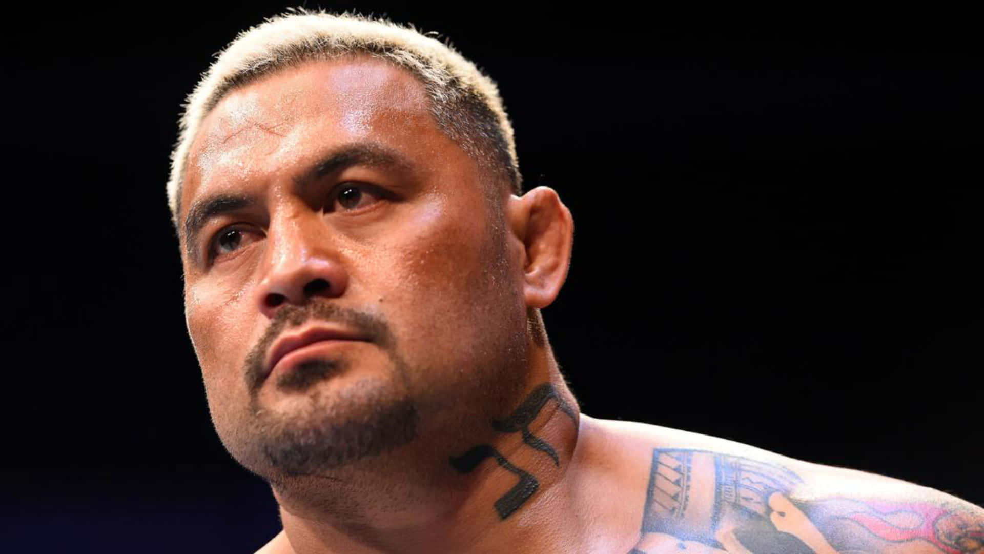 Mad Mark Hunt Staring Background