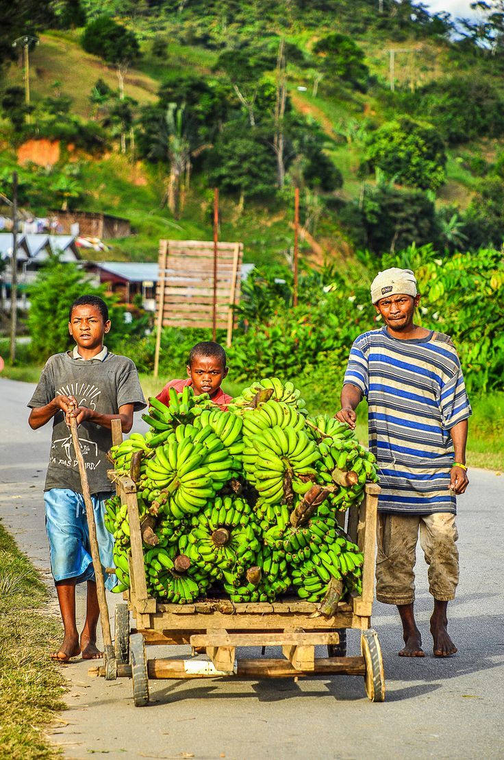 Madadascar Banana Vendor