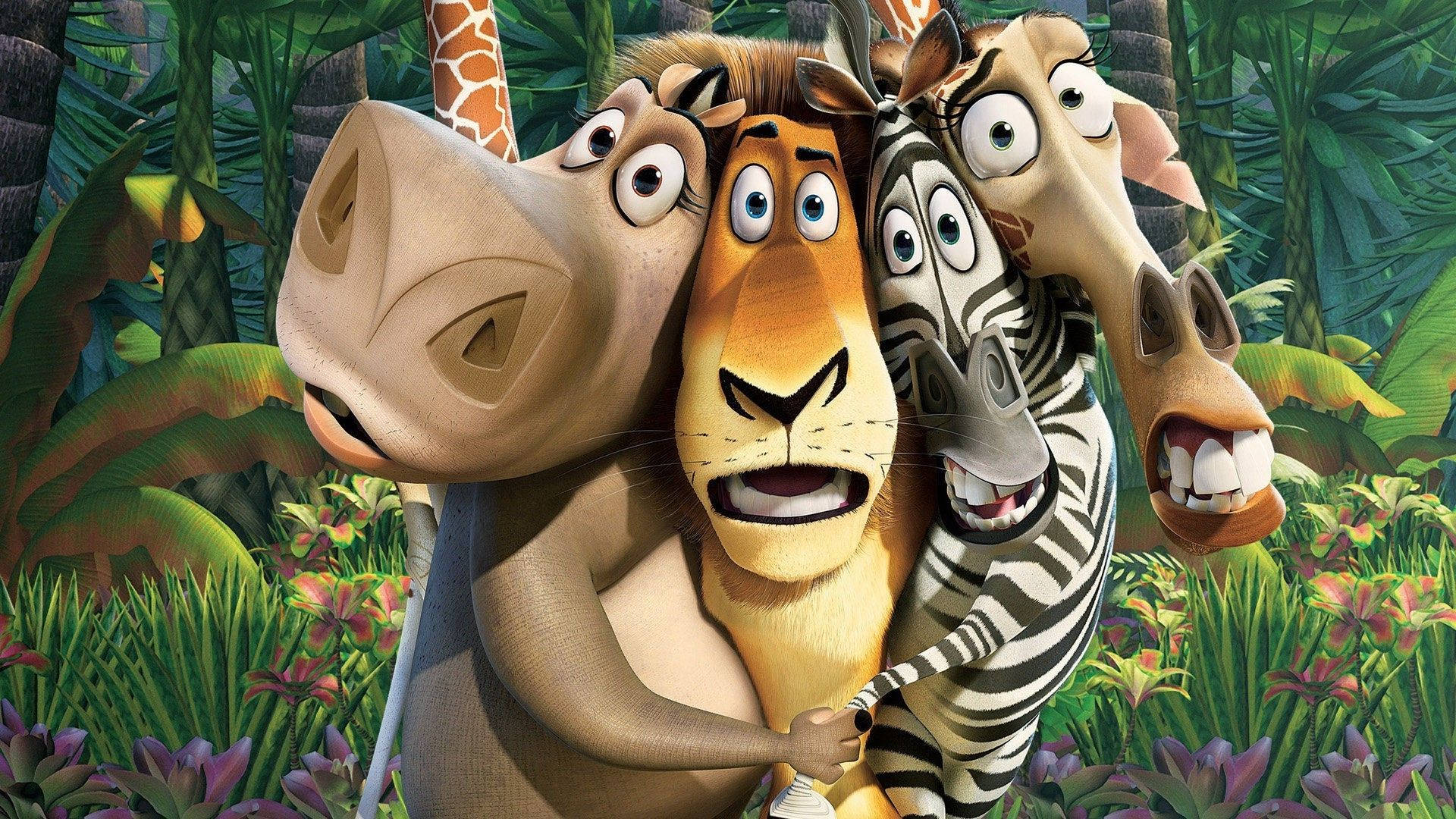 Madagascar Jungle Hollywood Movie Background