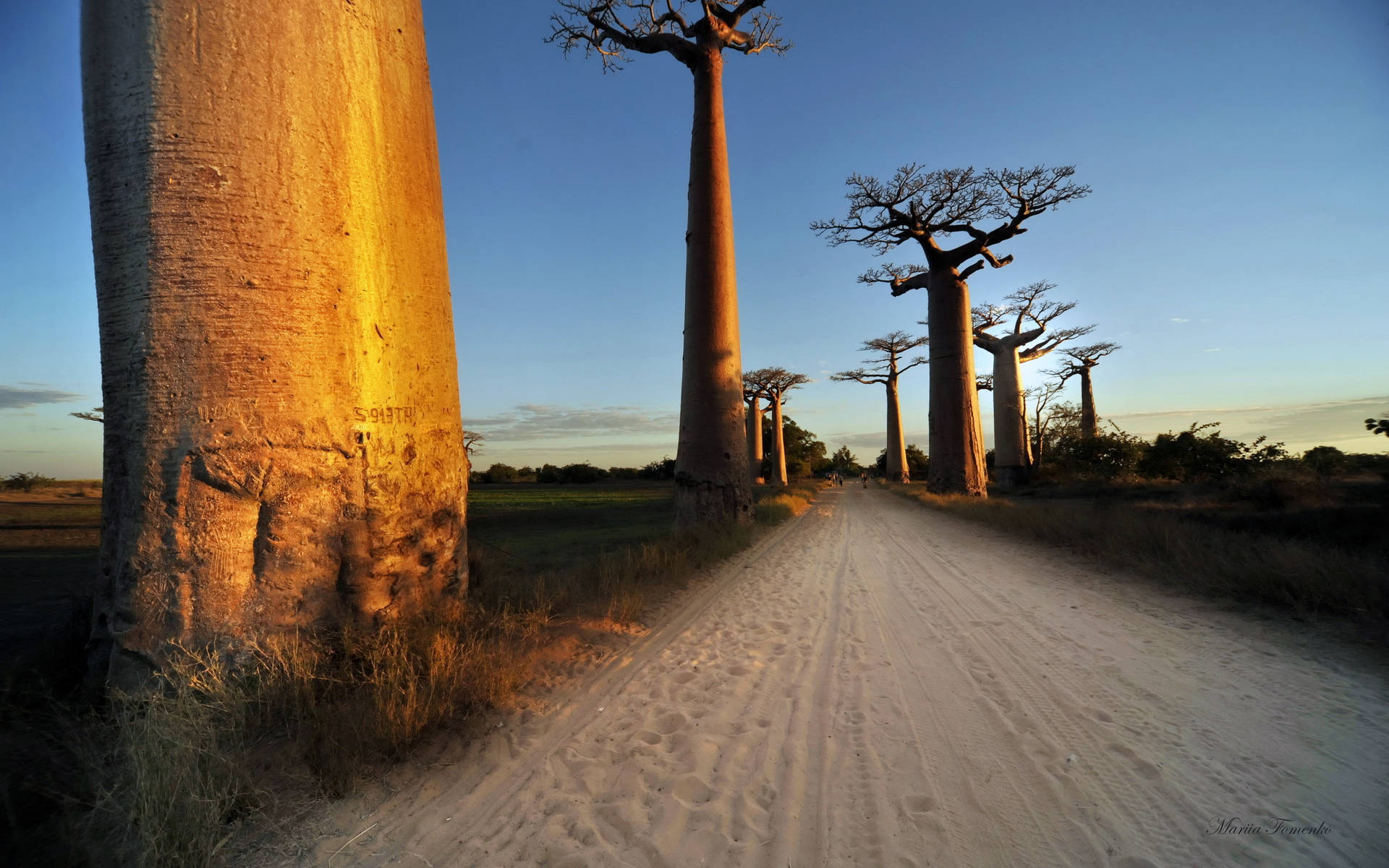 Madagascar Road Background