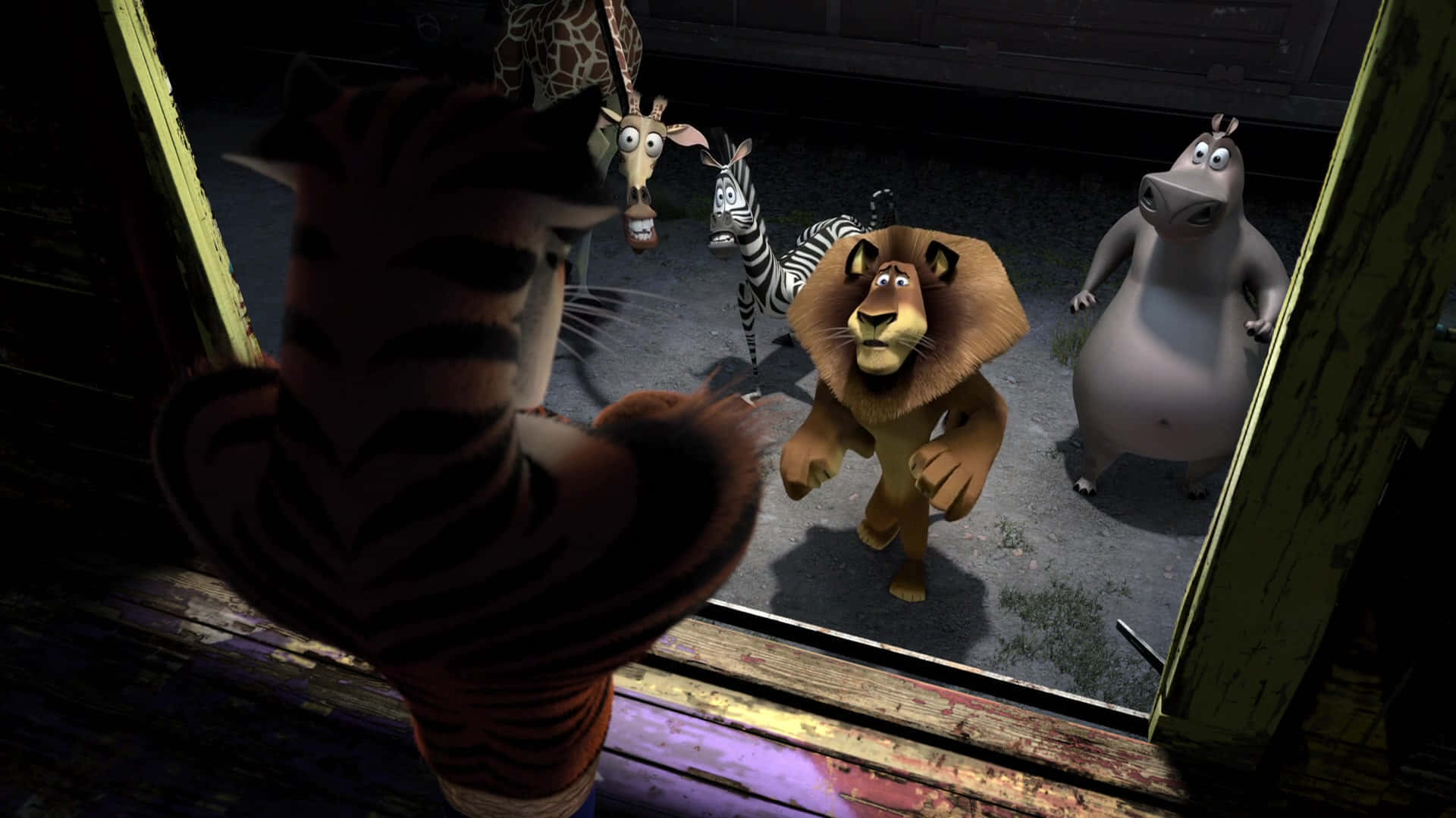 Madagascar3_ Animated Characters In Shadow
