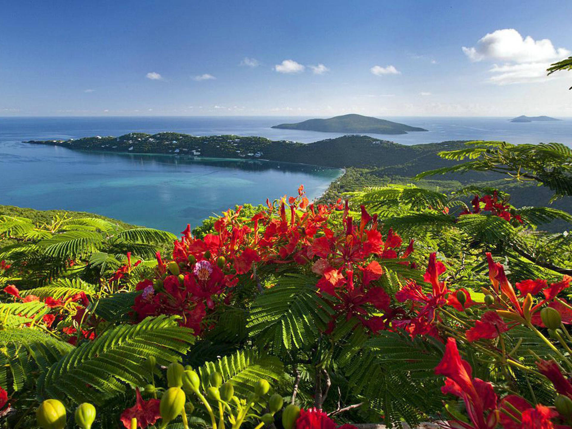 Magens Bay Caribbean Scenery Background