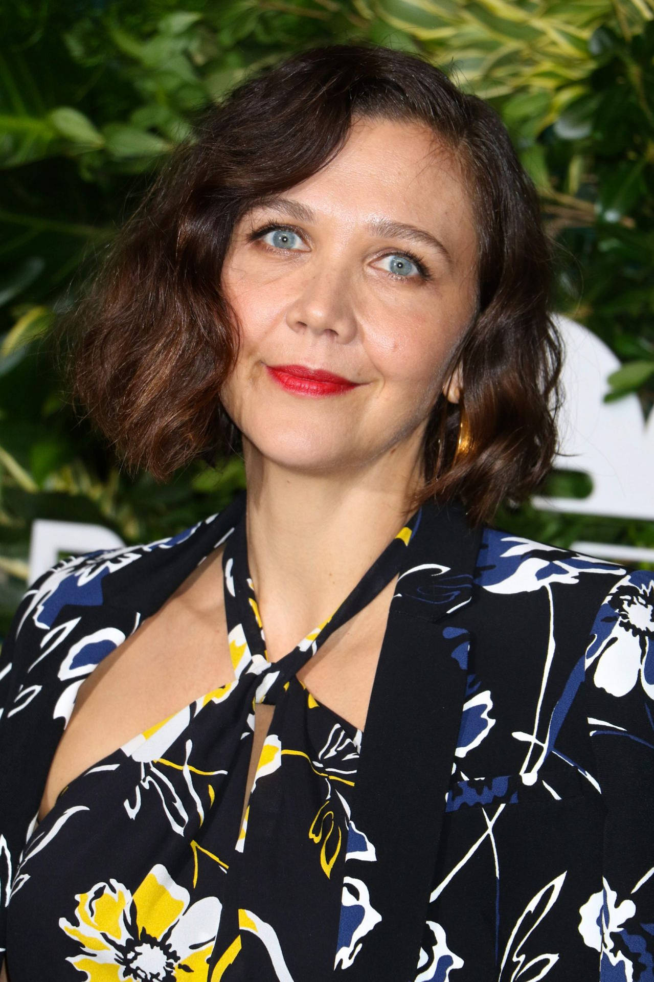 Maggie Gyllenhaal Actress Floral Dress Background