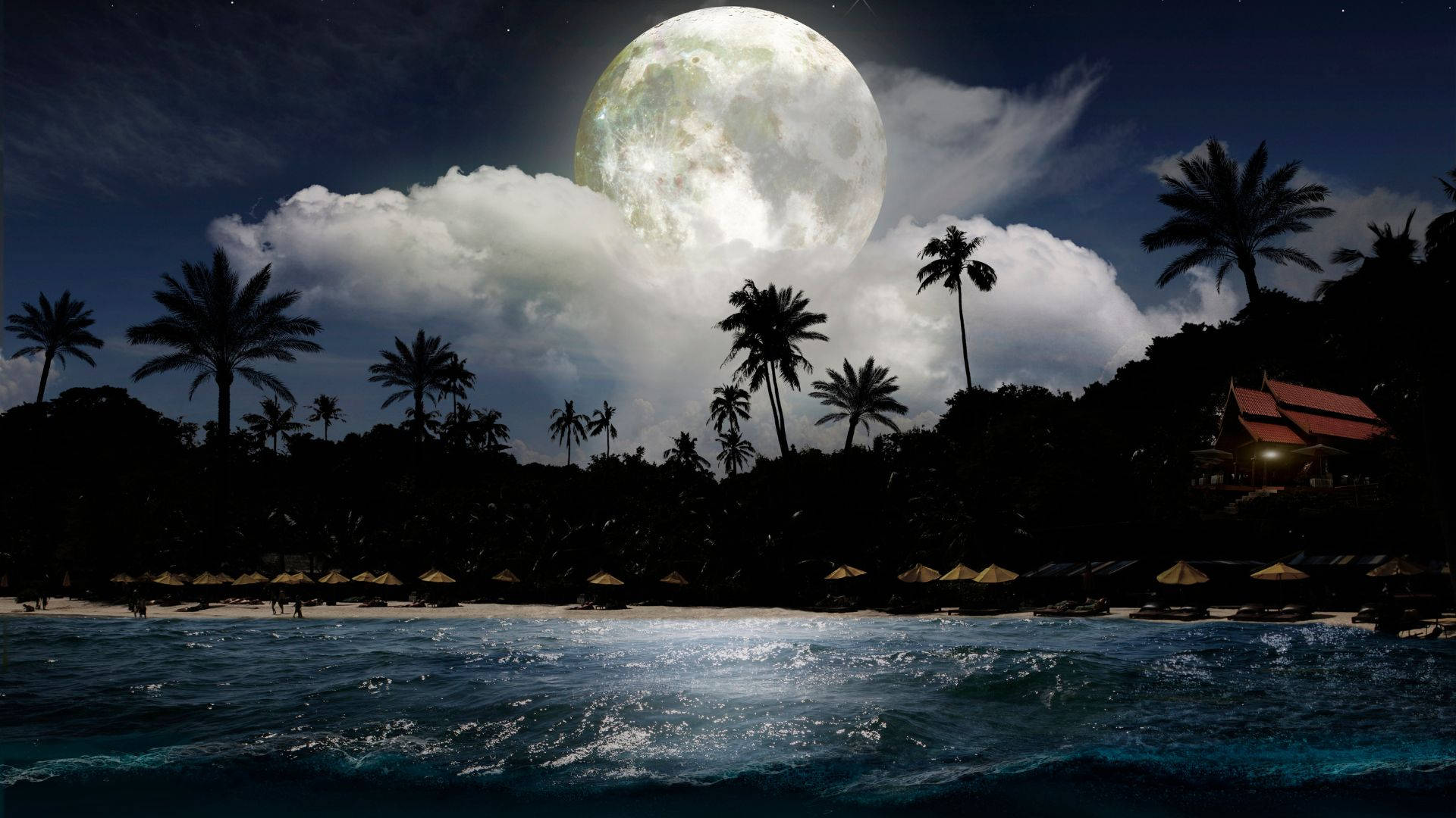 Magical Beach Night View Background