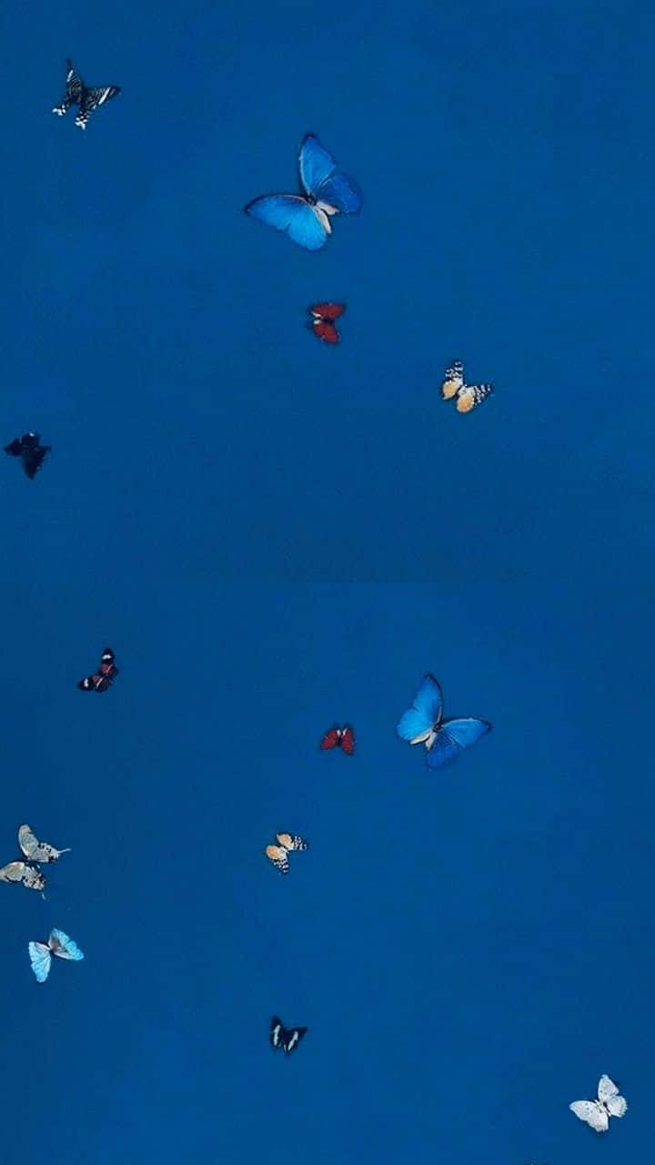 Magical Butterfly Landing On A White Flower In Full Bloom