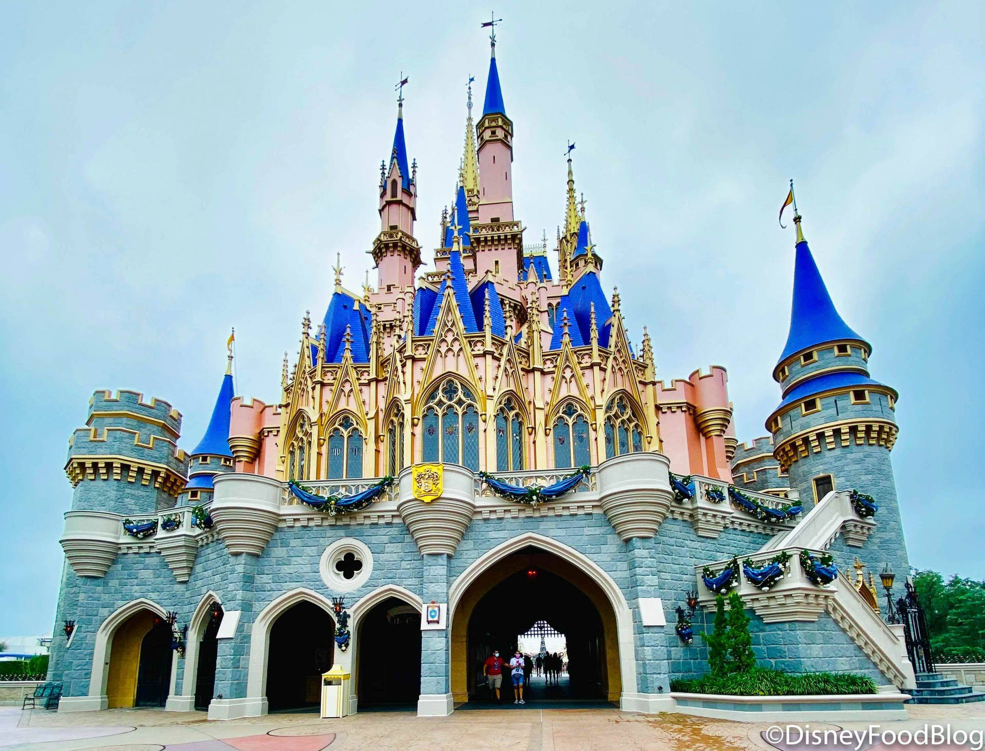 Magical Disney Castle Under Starry Sky