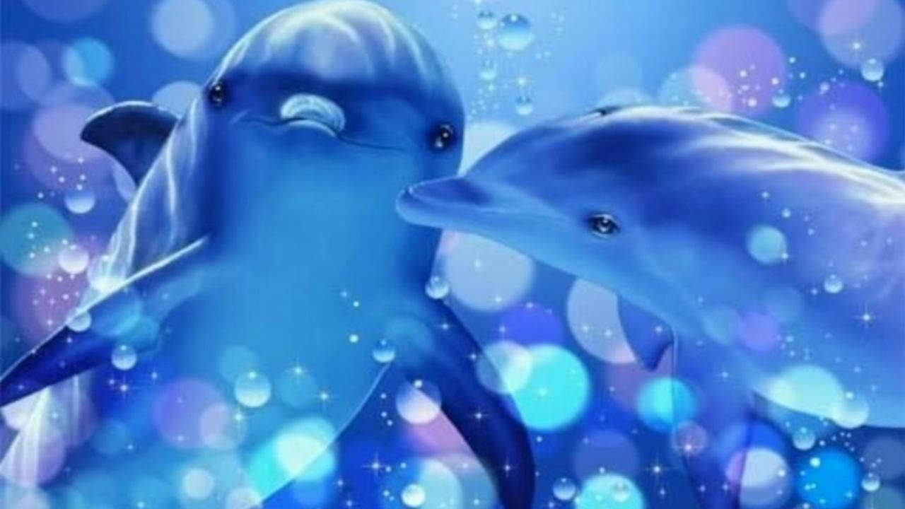 Magical Dolphin Kiss Background