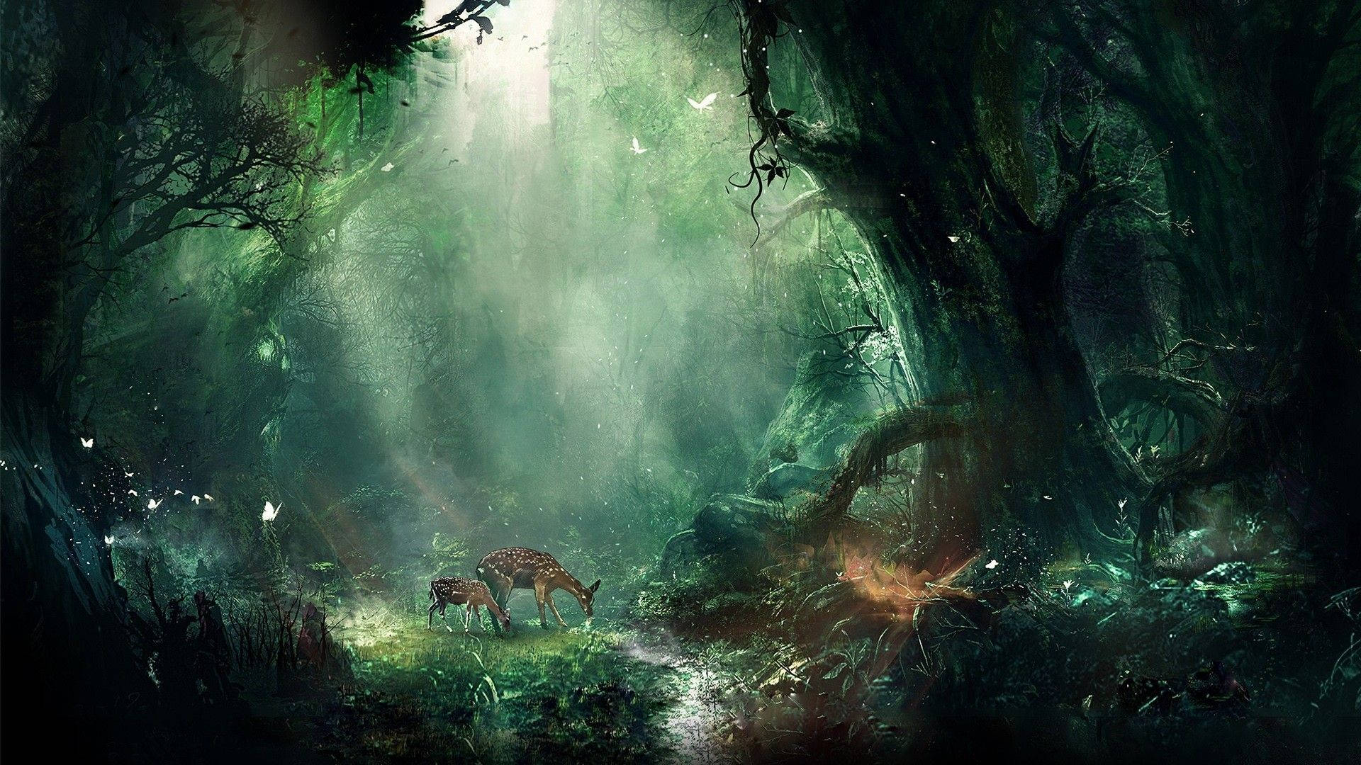 Magical Fantasy Forest Background