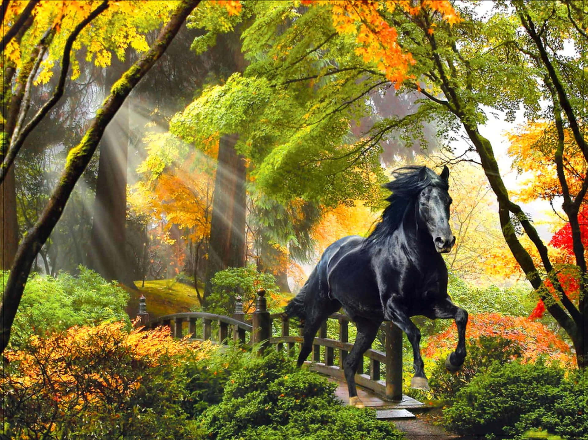 Magical Forest Autumn Dark Horse Background