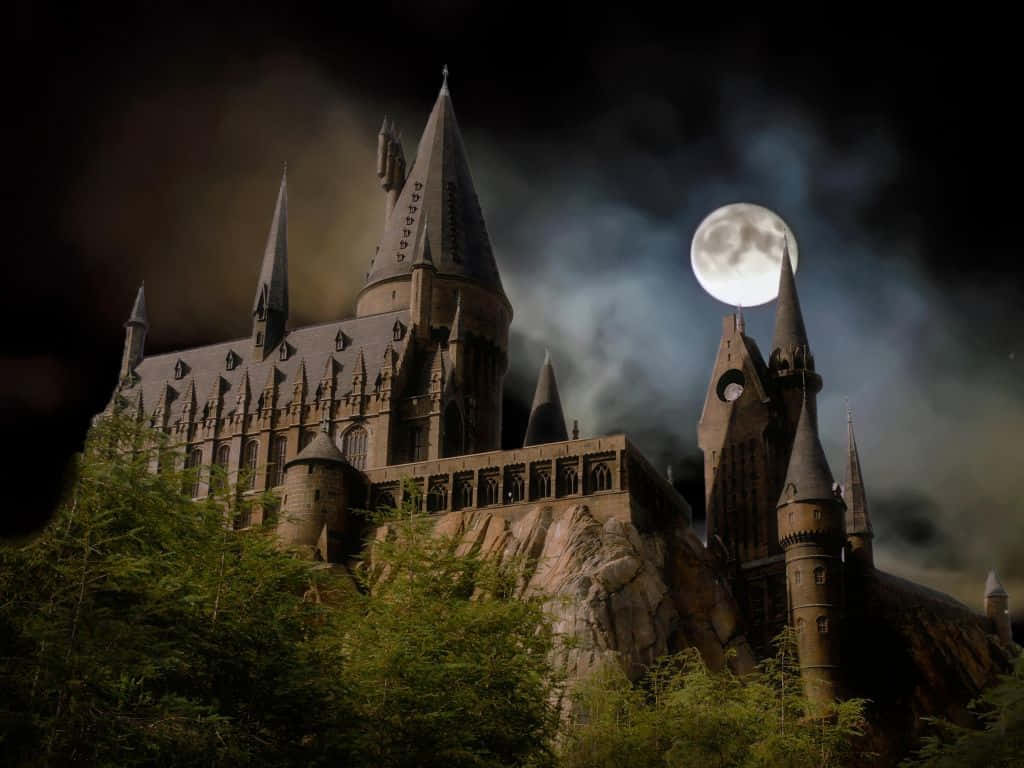 Magical Hogwarts University