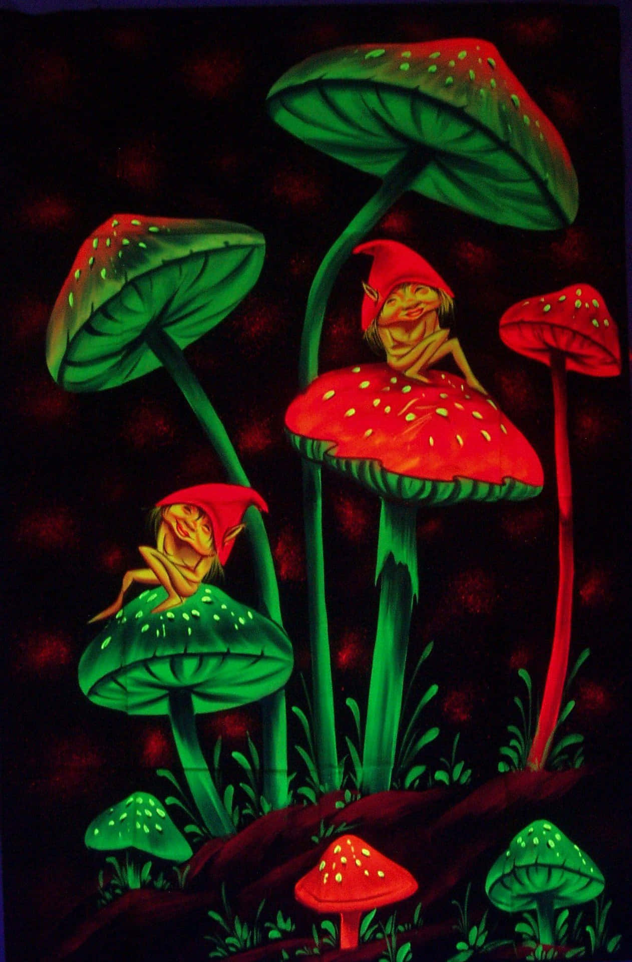 Magical Mushrooms That Spark The Imagination Background