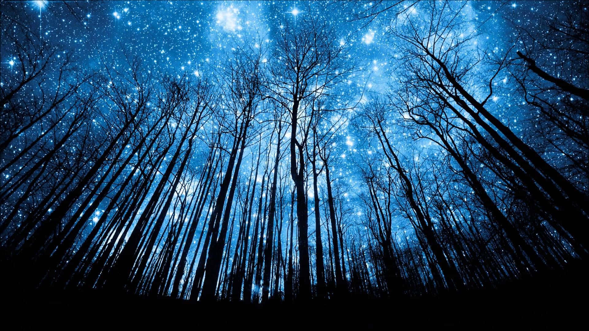 Magical Night Sky With Stars Glowing On Forest