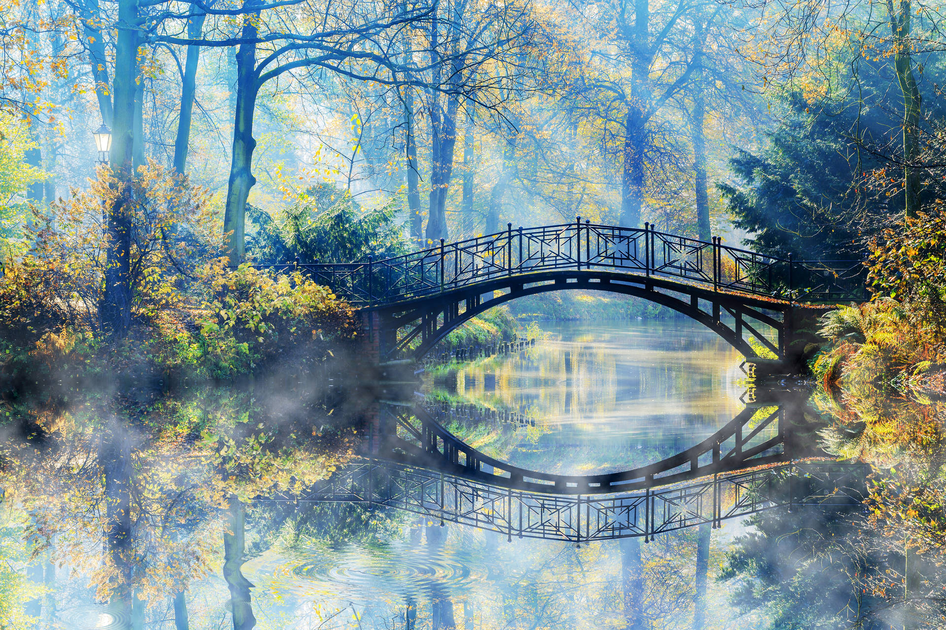 Magical Park Bridge Background